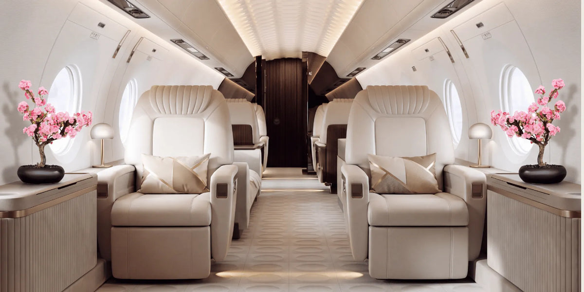 Artificial plants and succulents in a modern aviation interior.