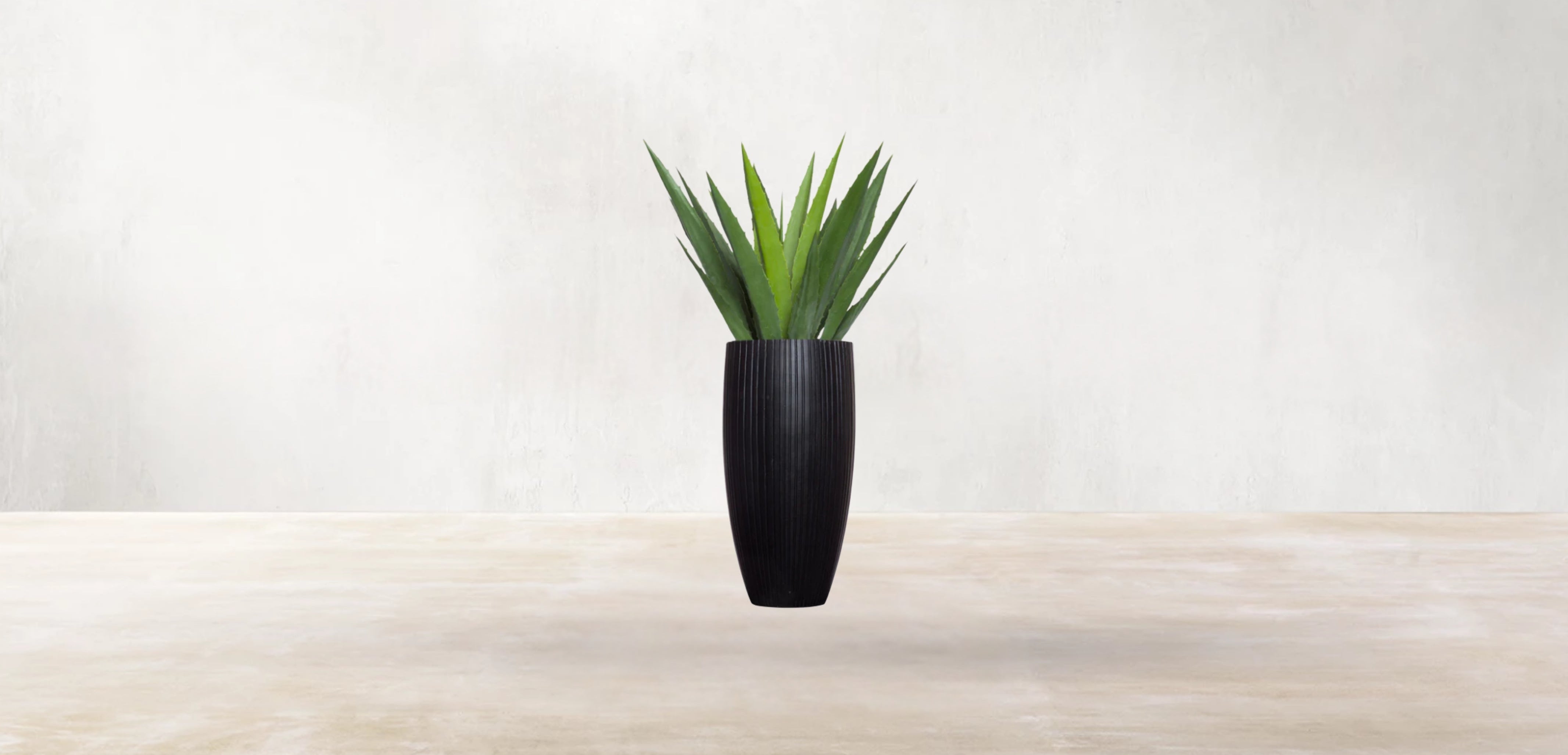 Aloe Vera of Arabia