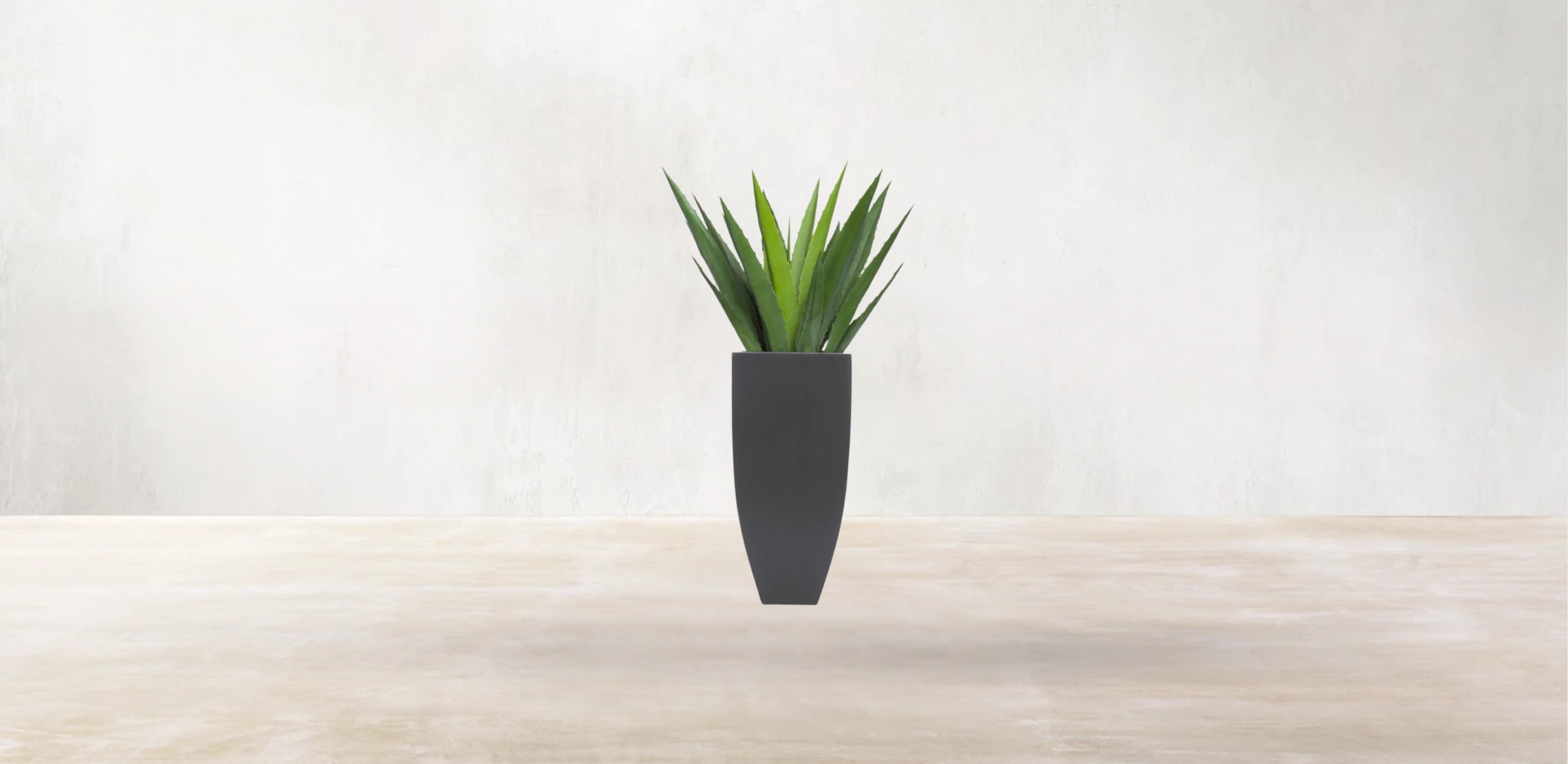 Aloe Vera of Arabia