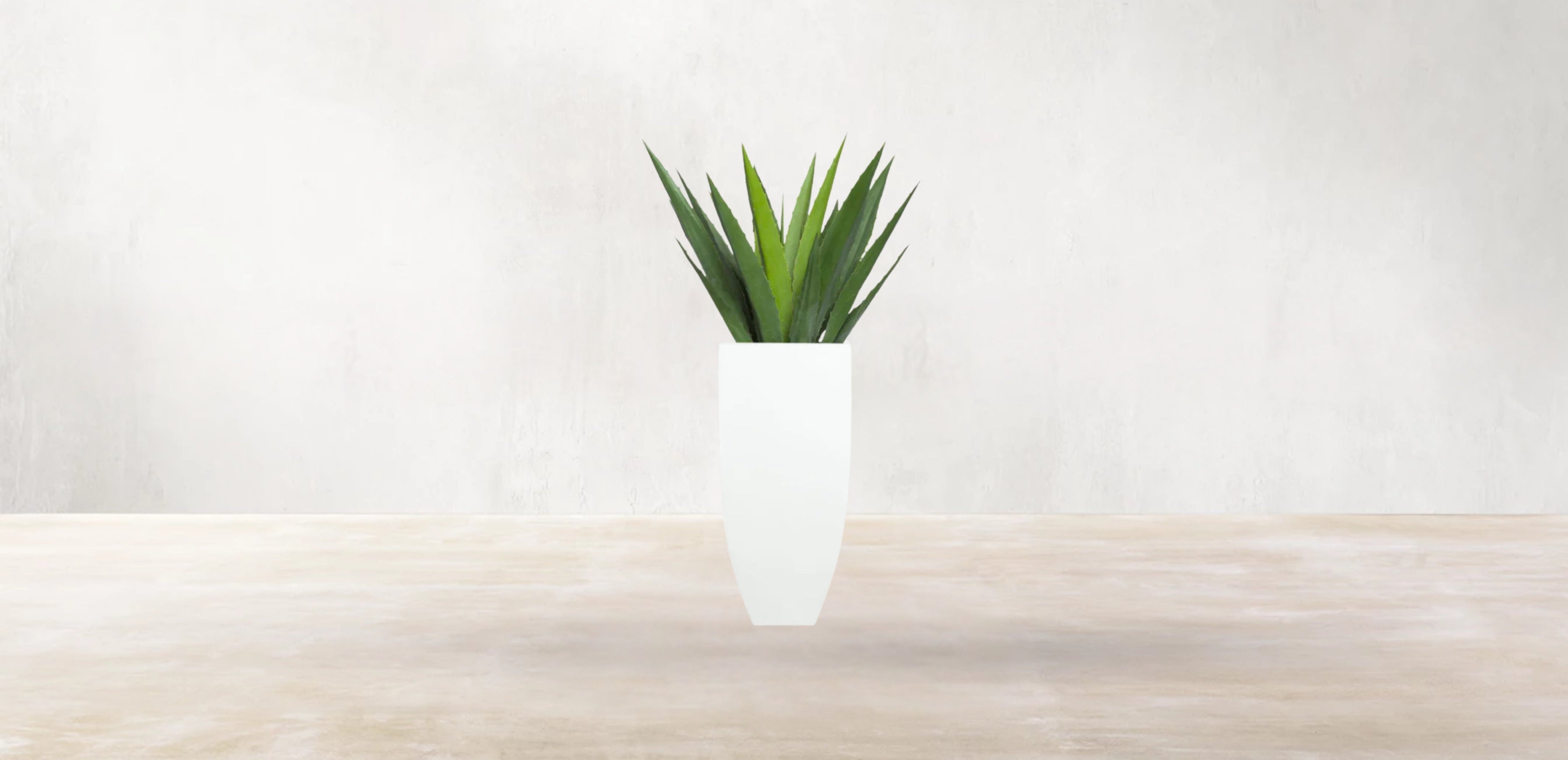 Aloe Vera of Arabia