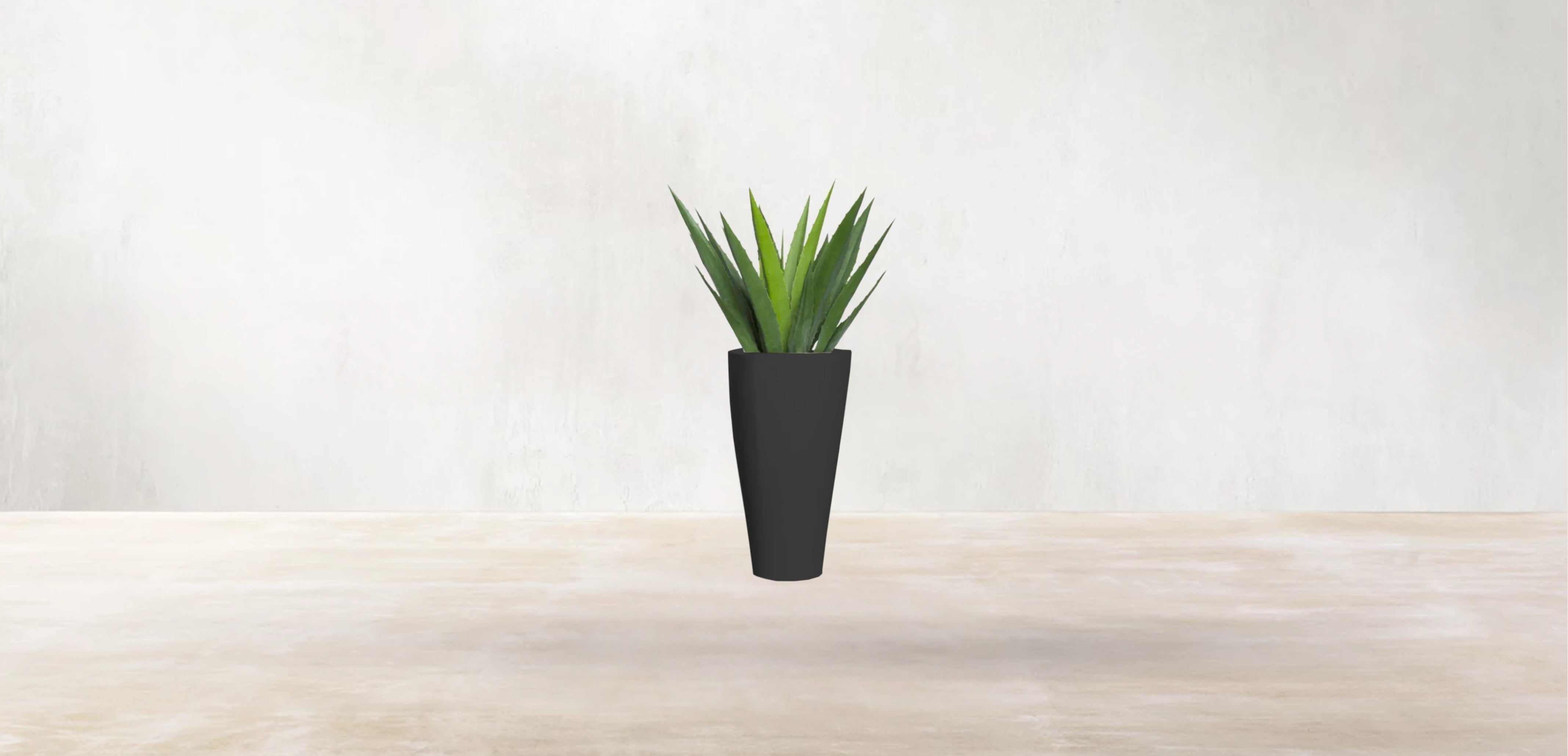 Aloe Vera of Arabia