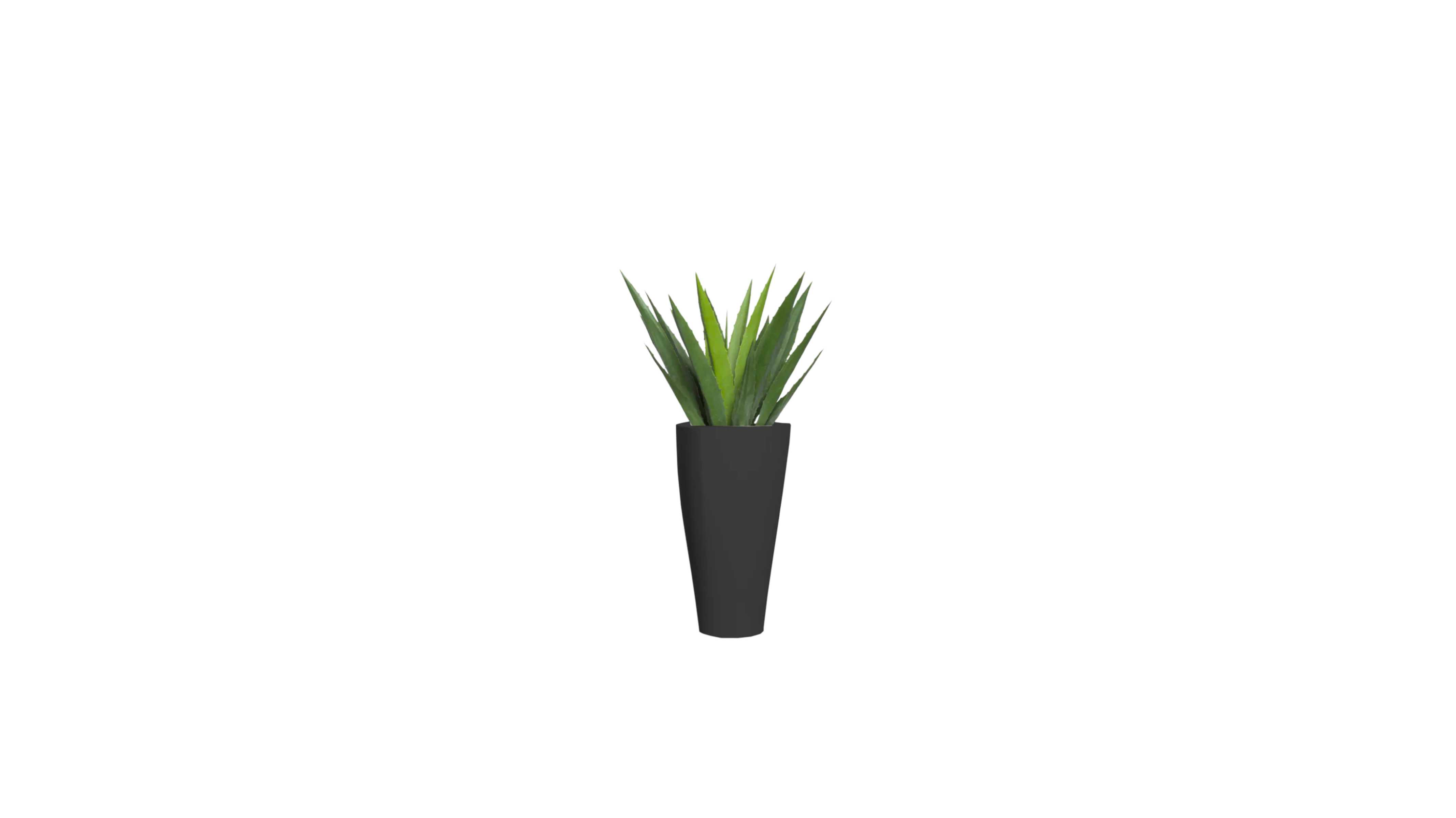 Aloe Vera of Arabia