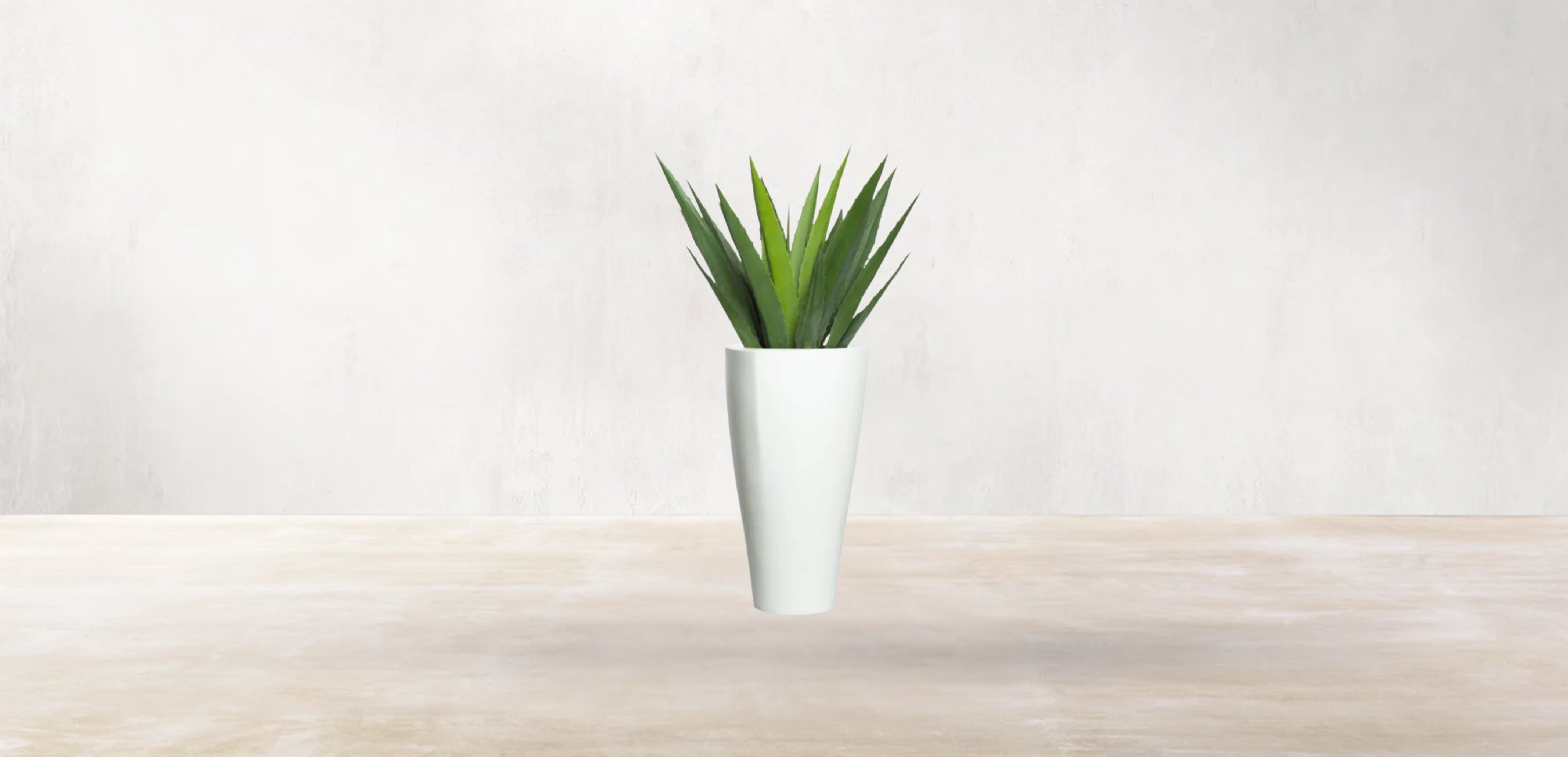 Aloe Vera of Arabia