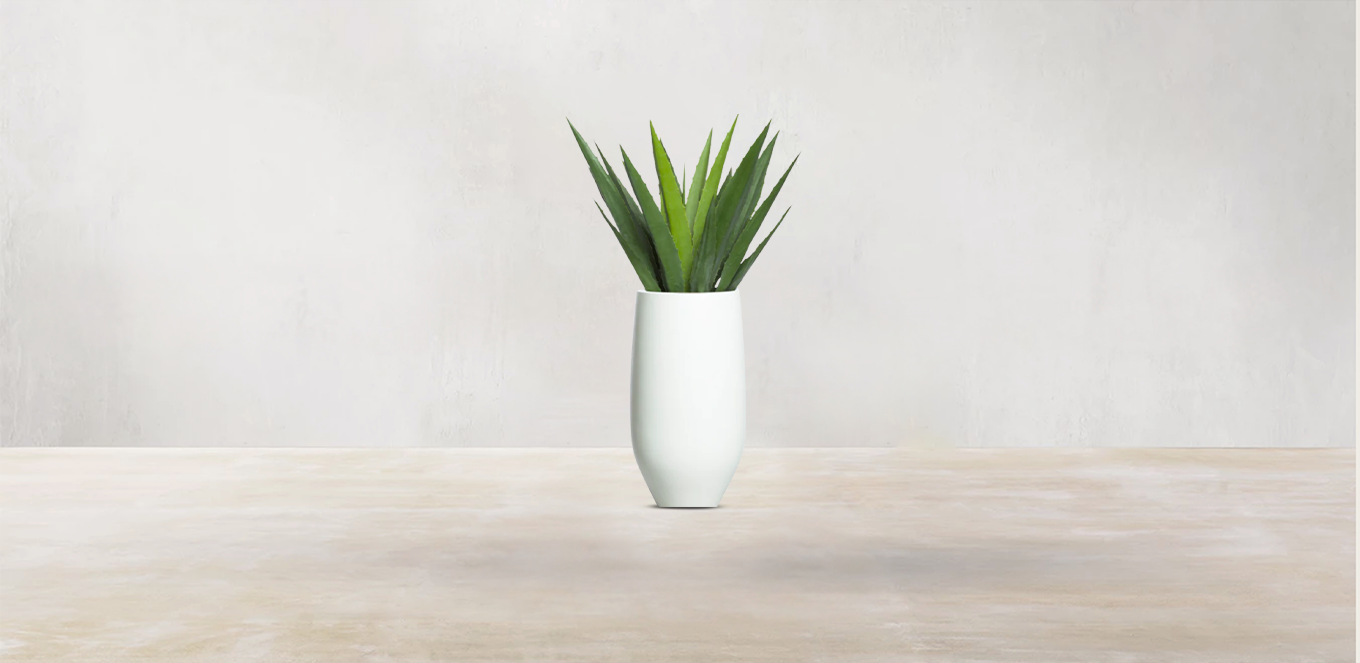 Aloe Vera of Arabia