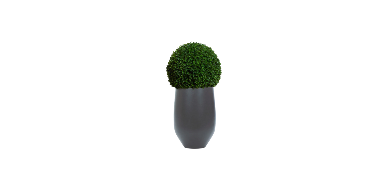 Boxwood Sphere