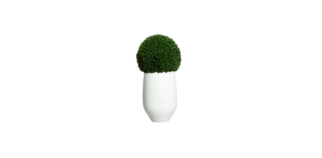 Boxwood Sphere