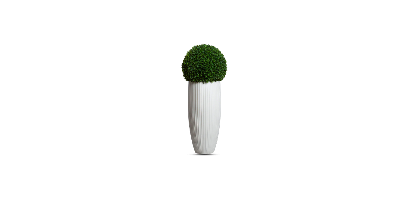 Boxwood Sphere