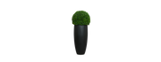 Boxwood Sphere