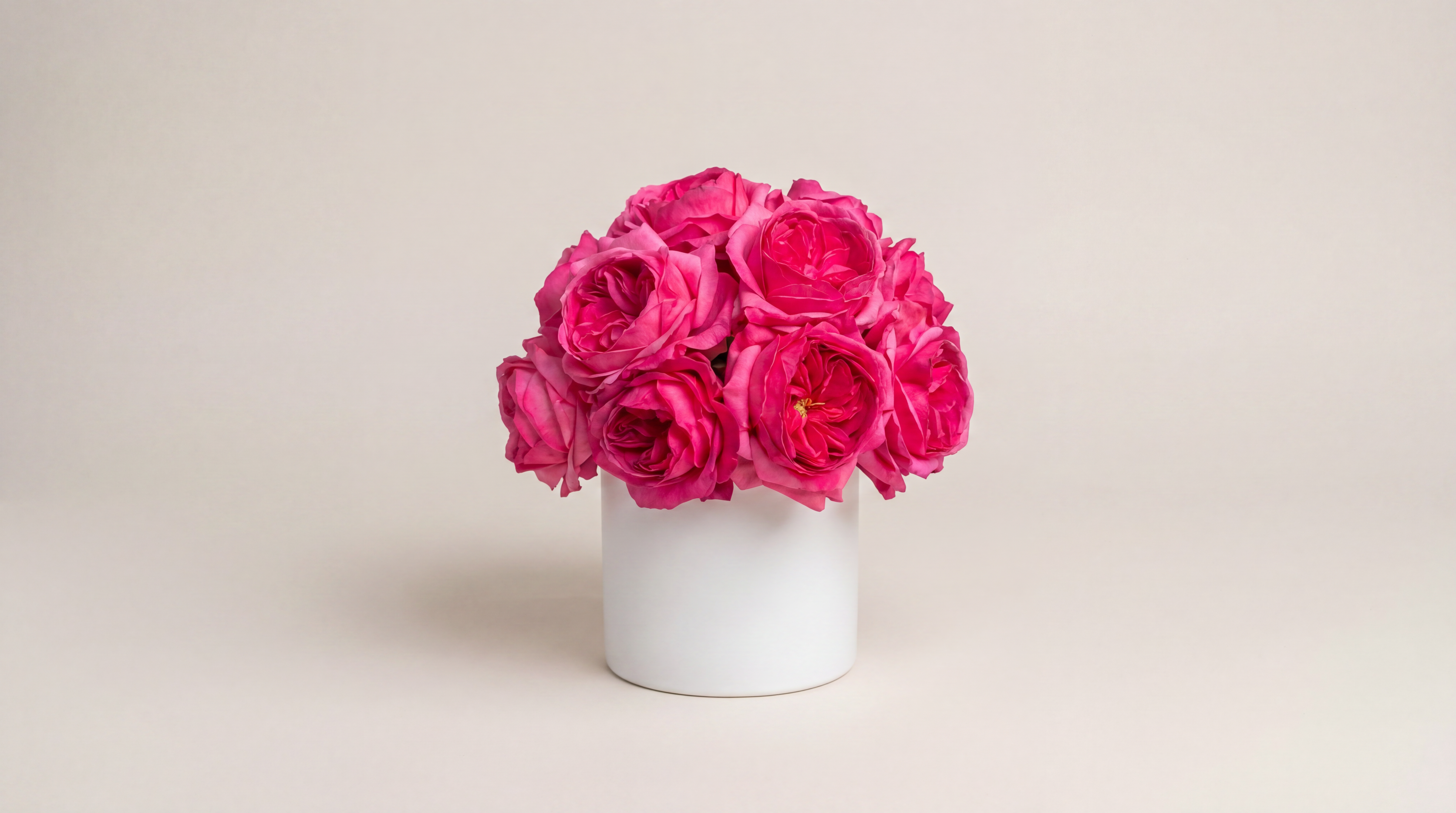 David Austin English Roses