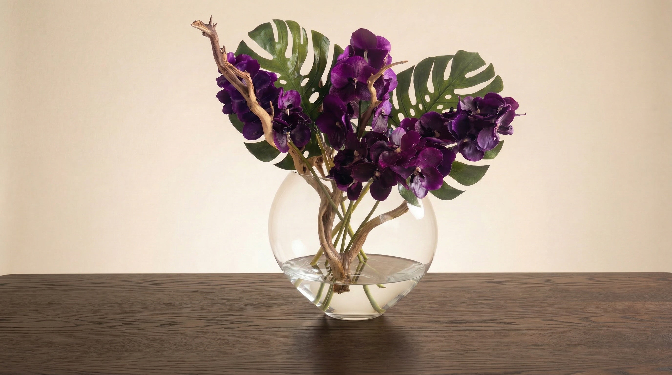 Violet Foncé Vanda Orchids