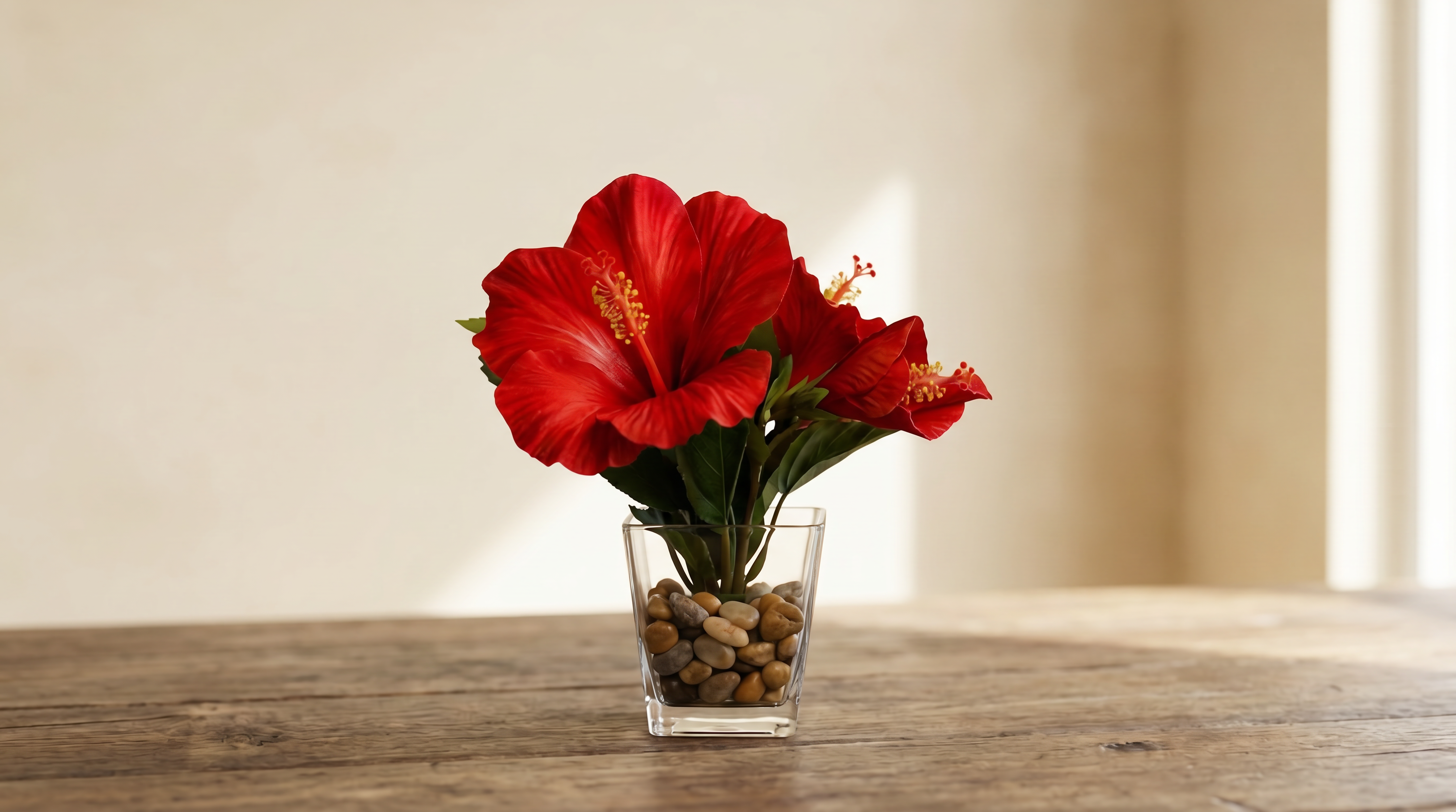 Hibiscus Motifs