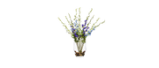 English Delphinium