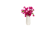Cascading Bougainvillea