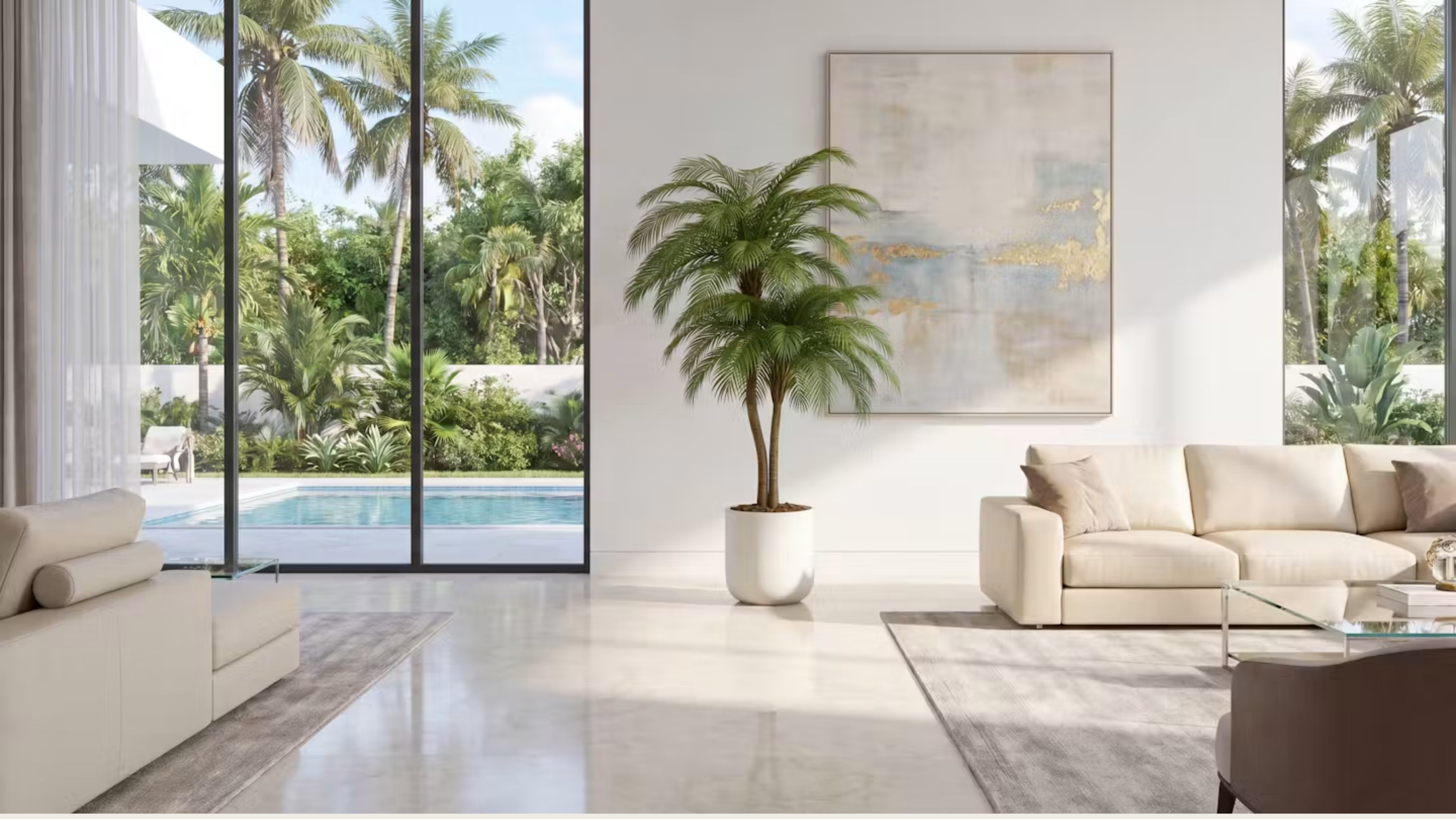 Phoenix Palm Tree