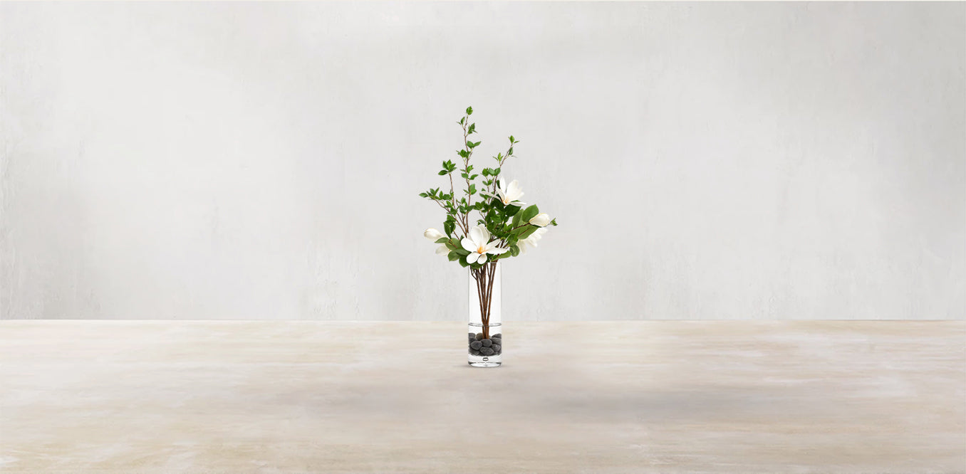 Sweet Southern Magnolias