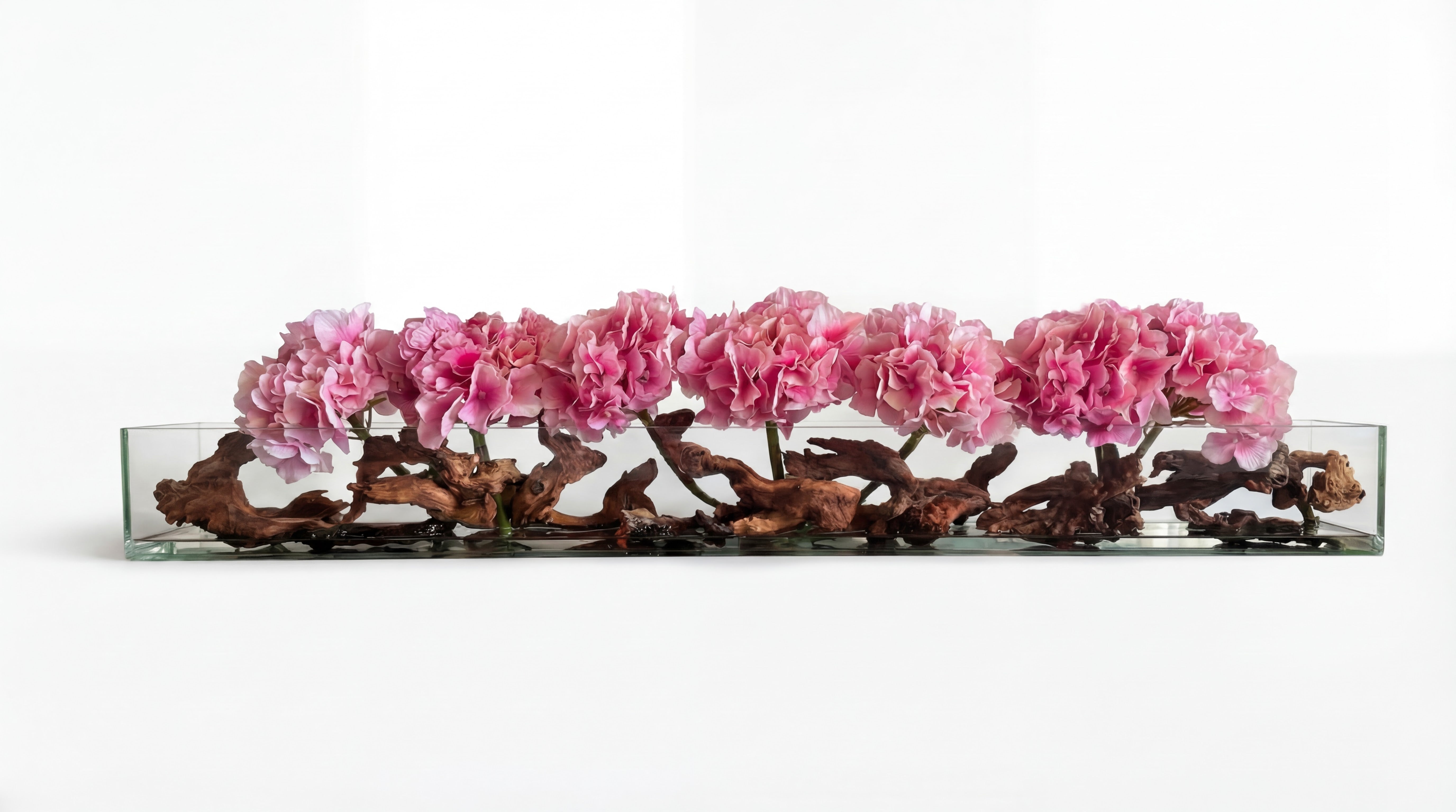 Hydrangeas X Mopani Driftwood