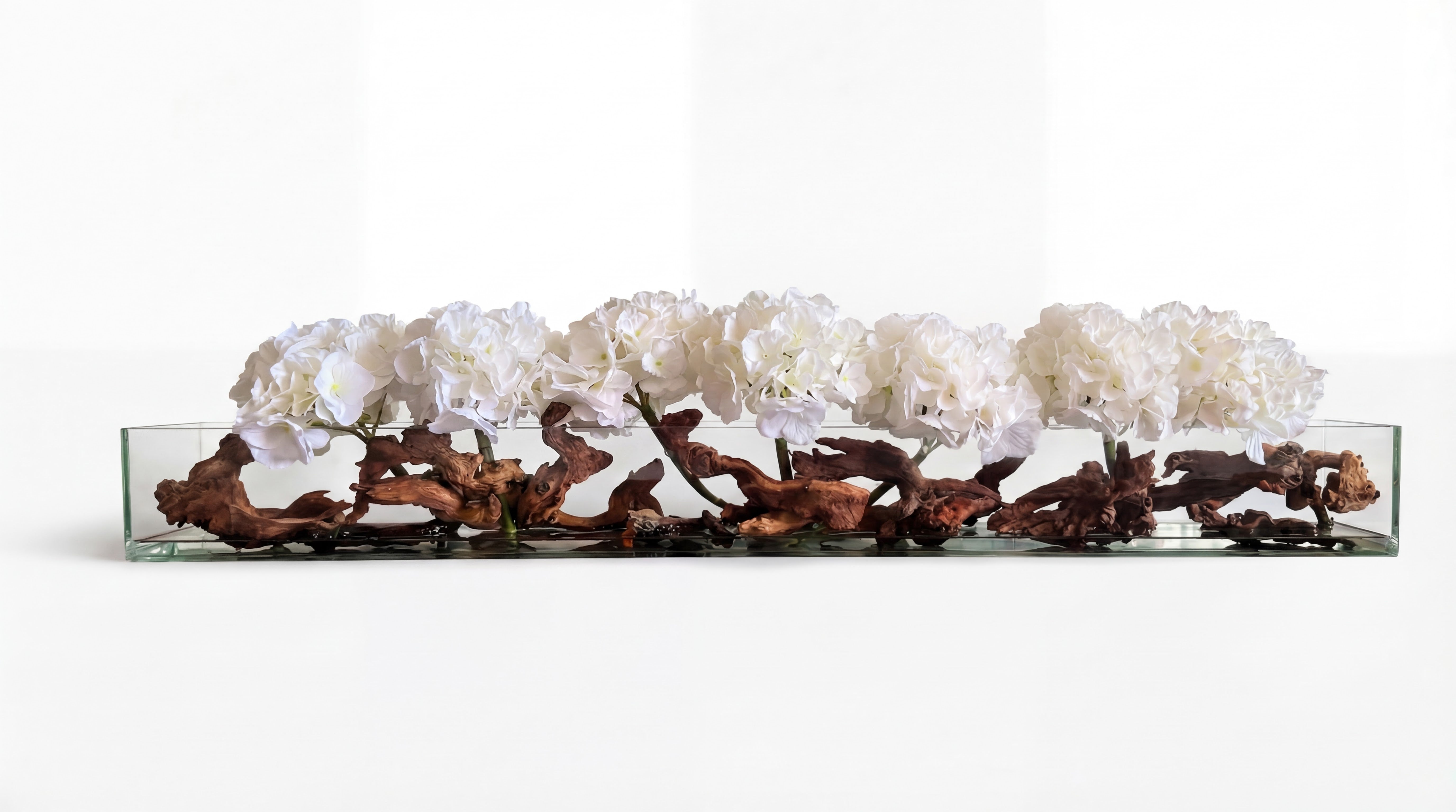 Hydrangeas X Mopani Driftwood