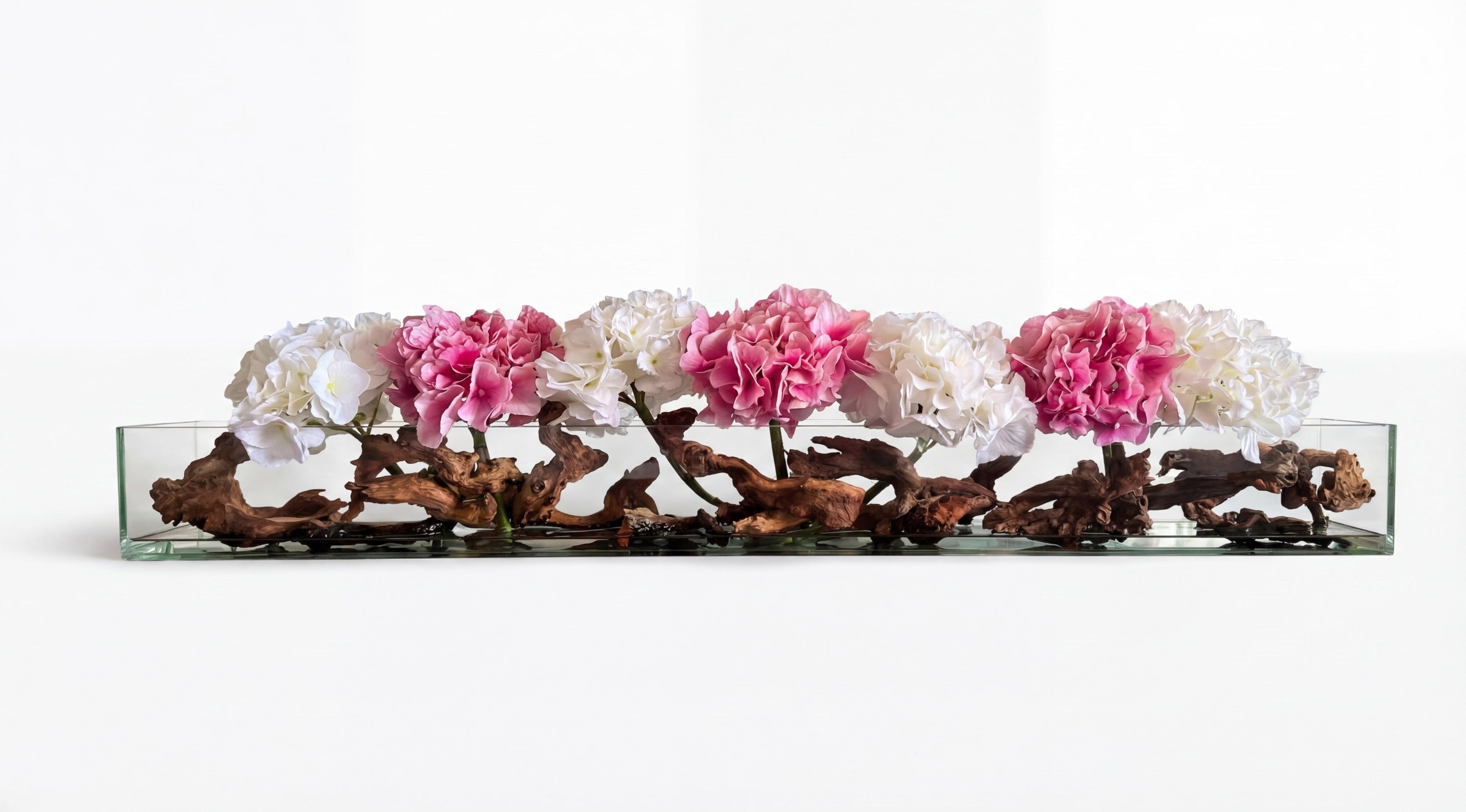 Hydrangeas X Mopani Driftwood