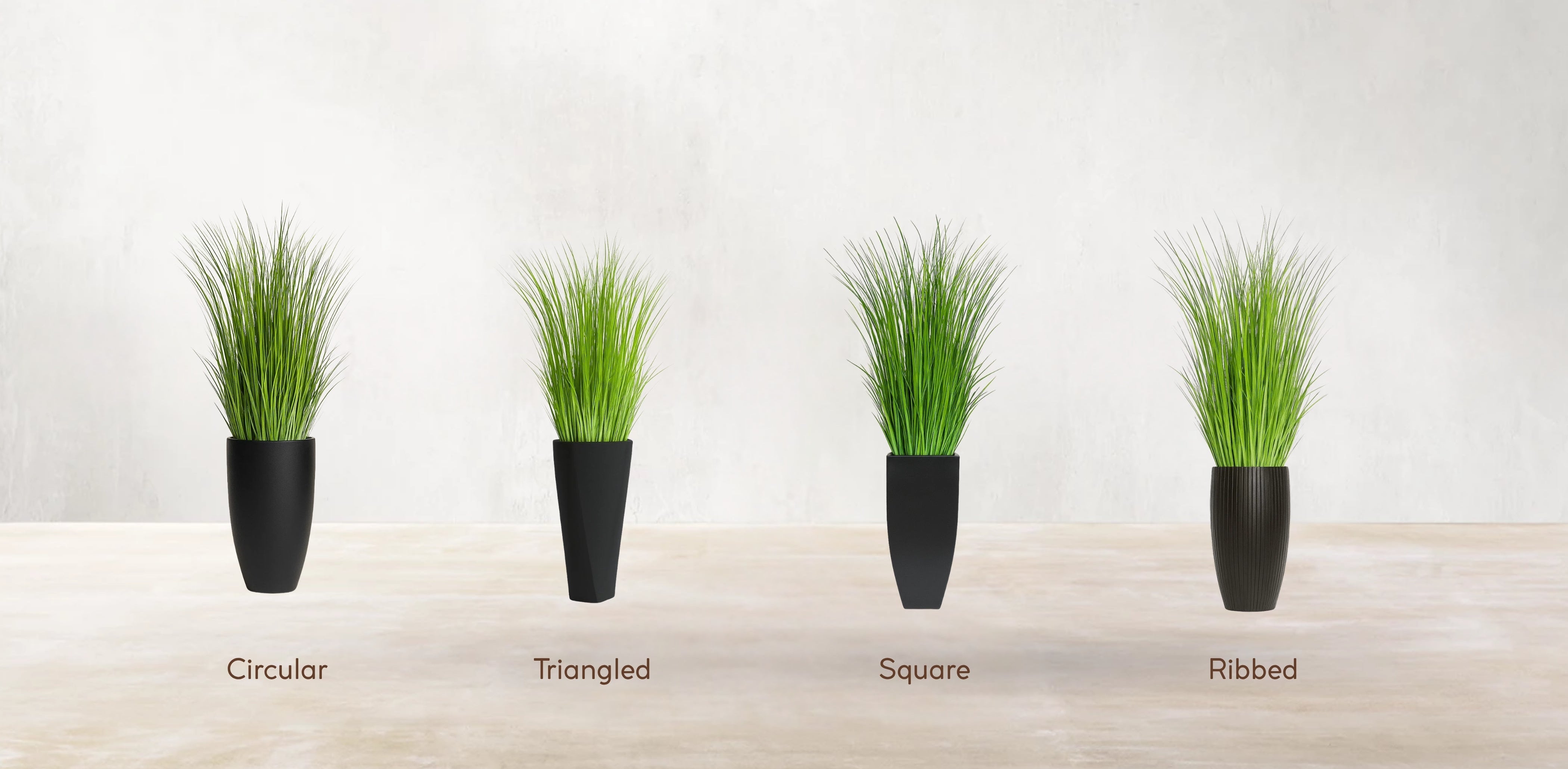 African Savanna Grass