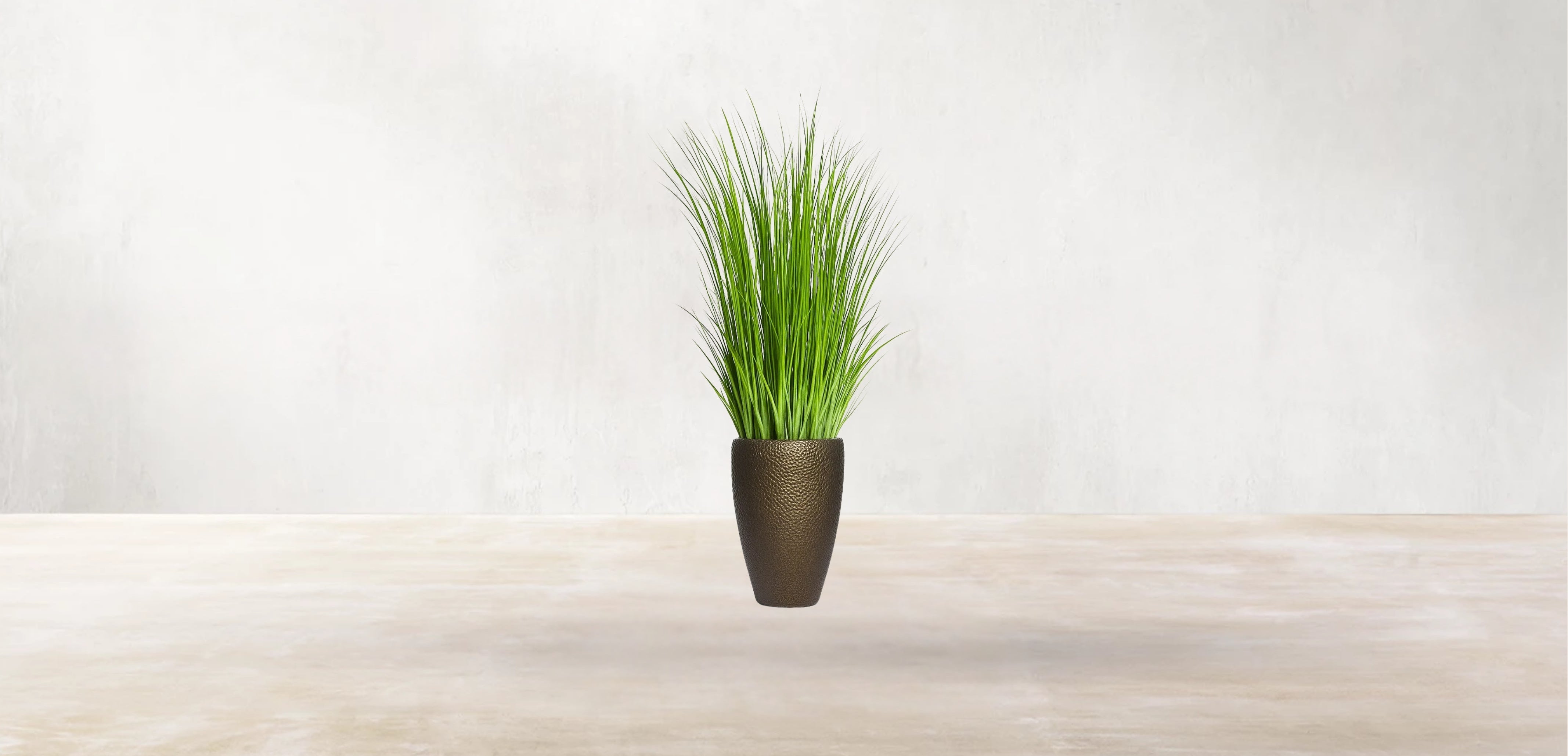 African Savanna Grass