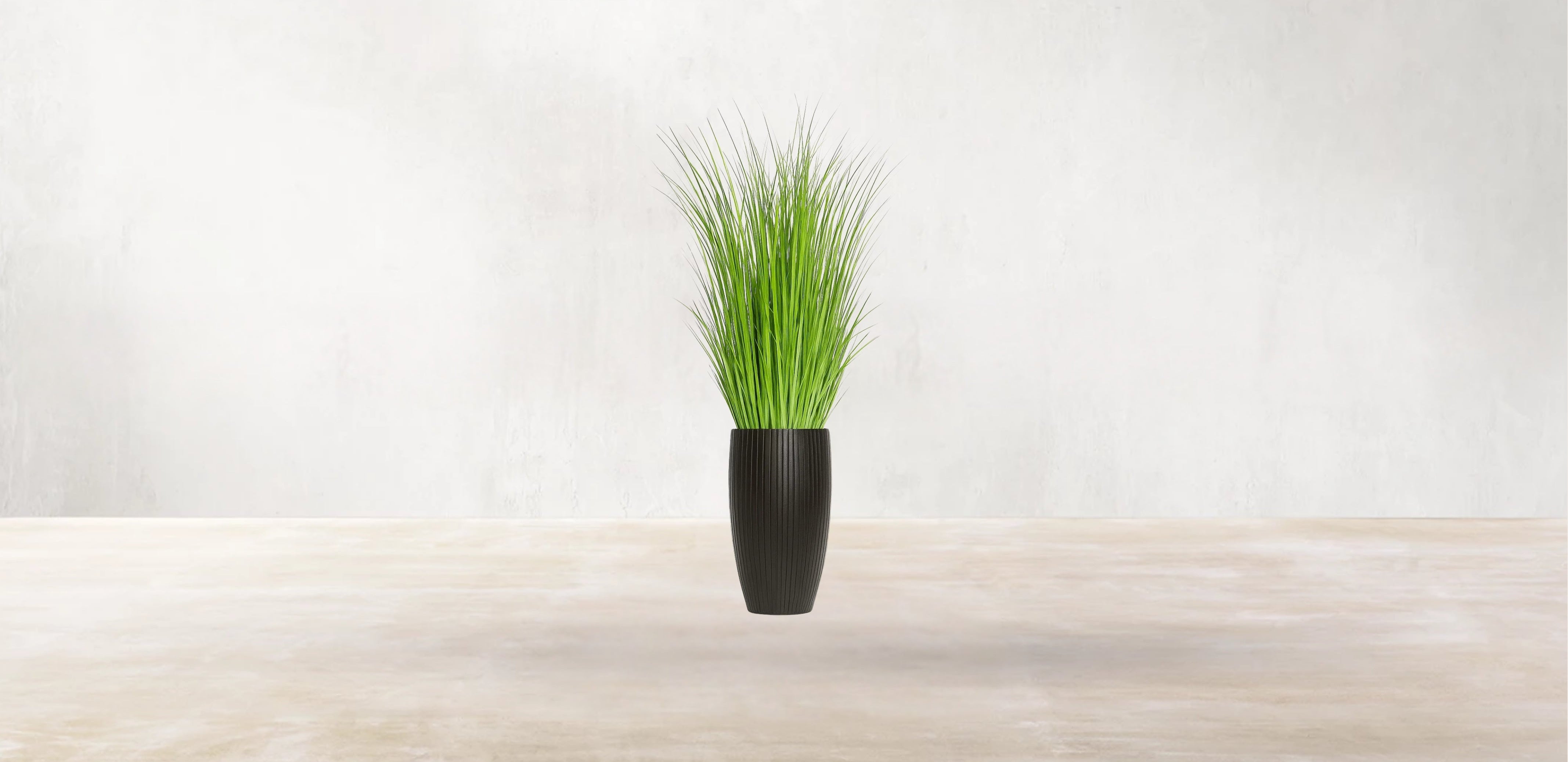 African Savanna Grass