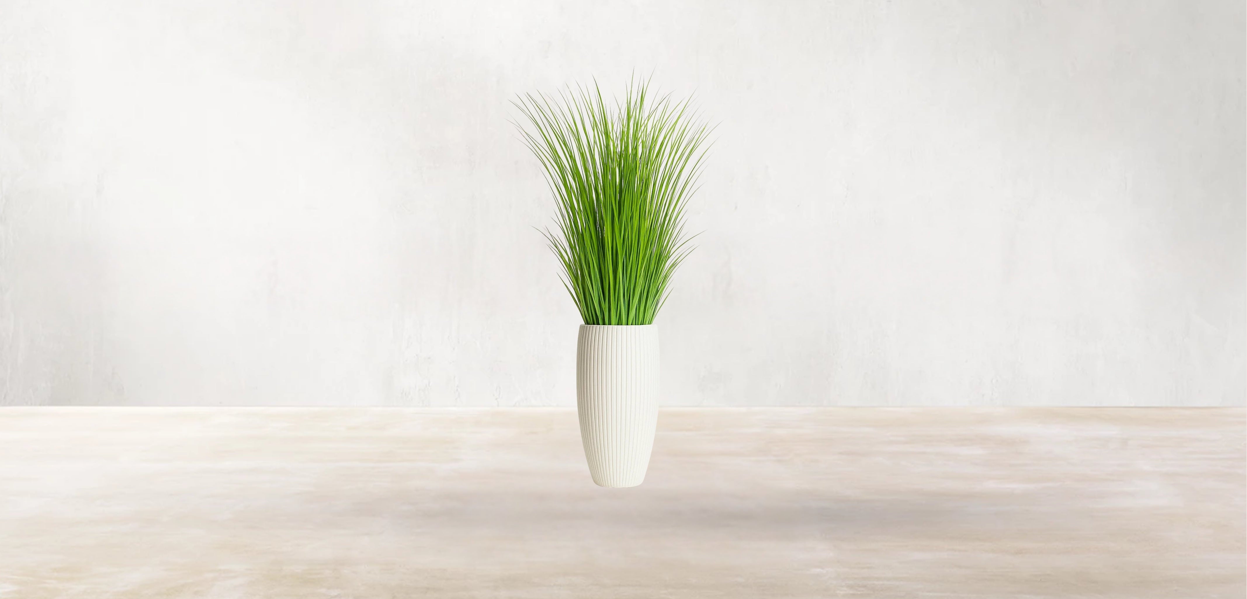 African Savanna Grass
