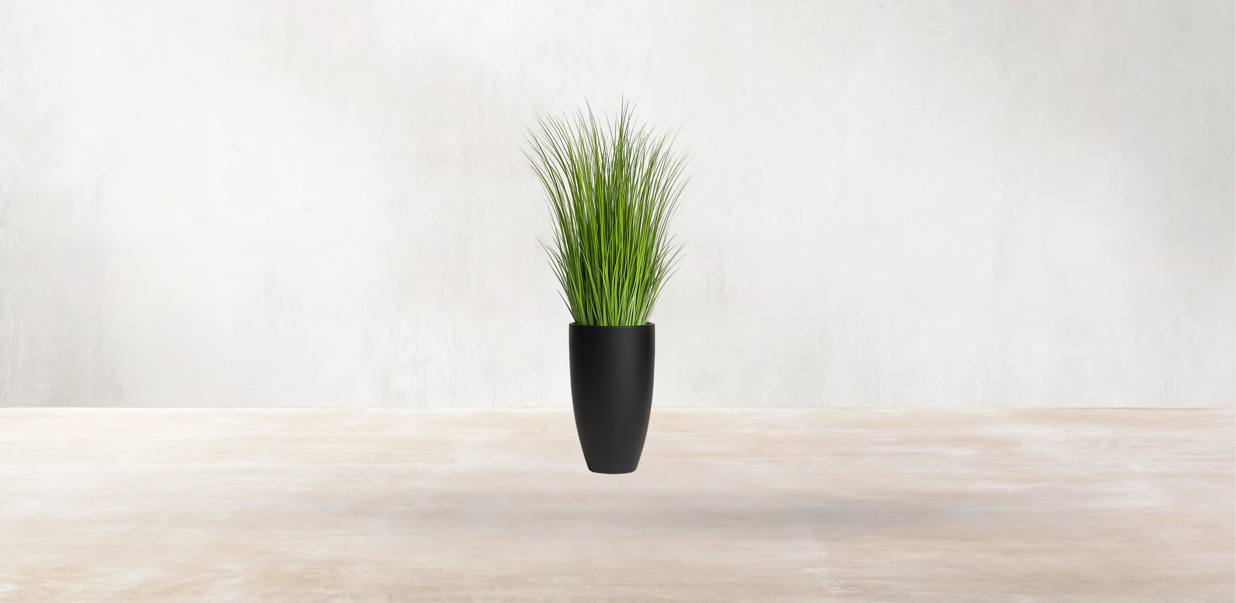 African Savanna Grass