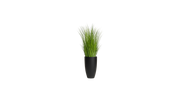 African Savanna Grass