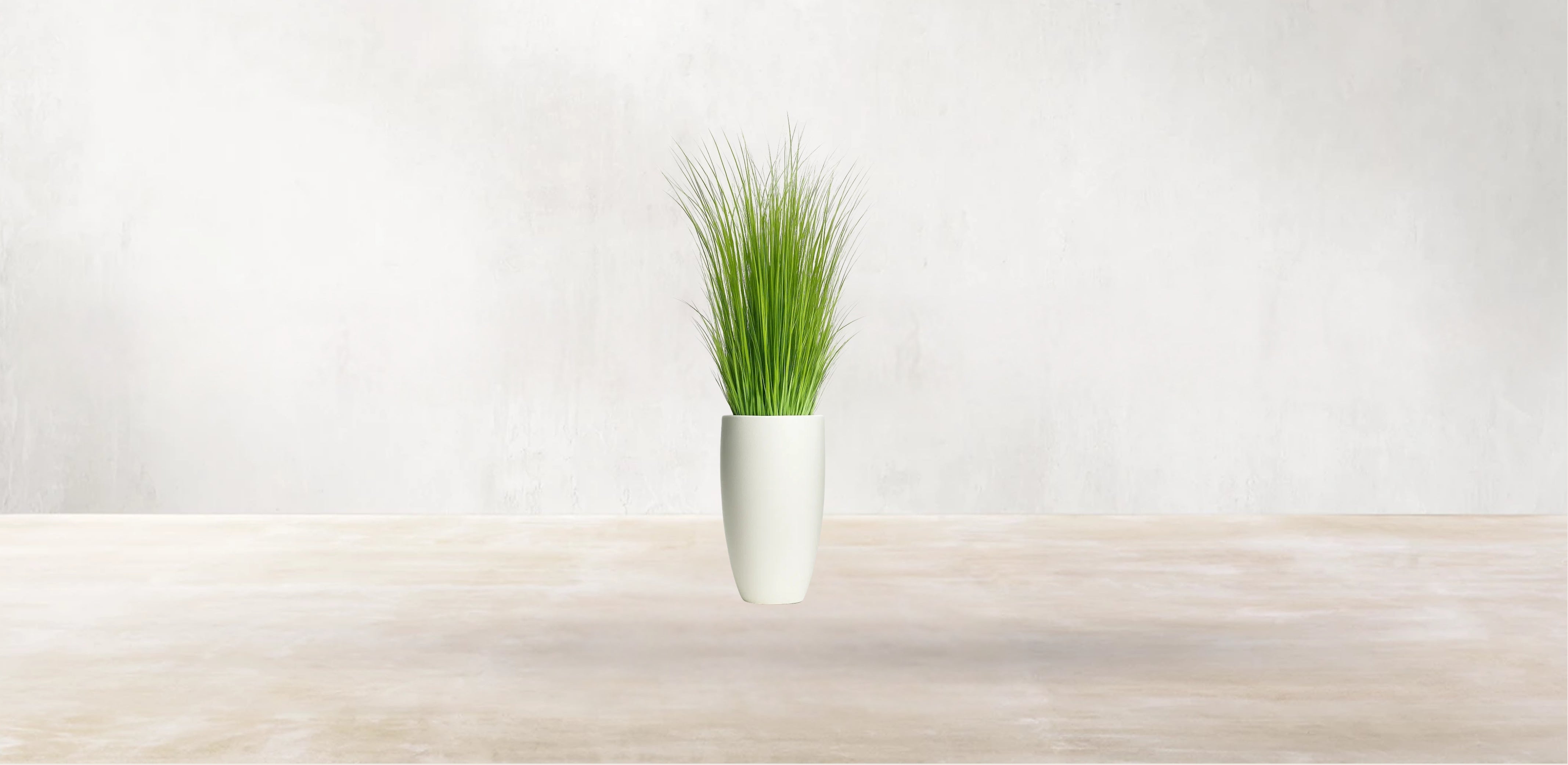 African Savanna Grass