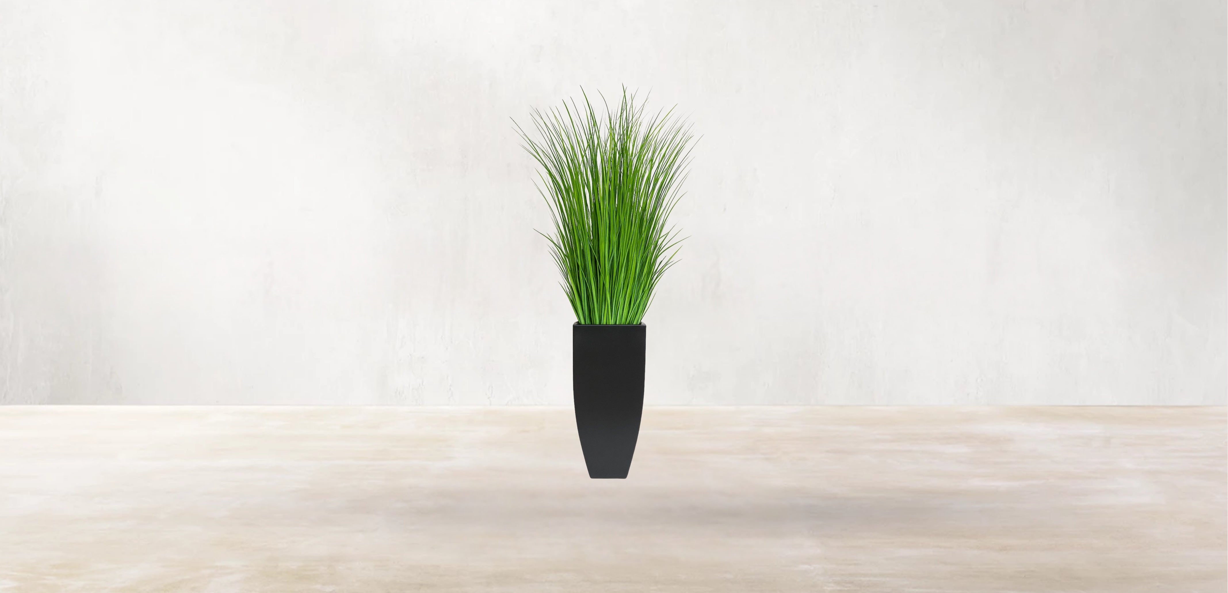 African Savanna Grass