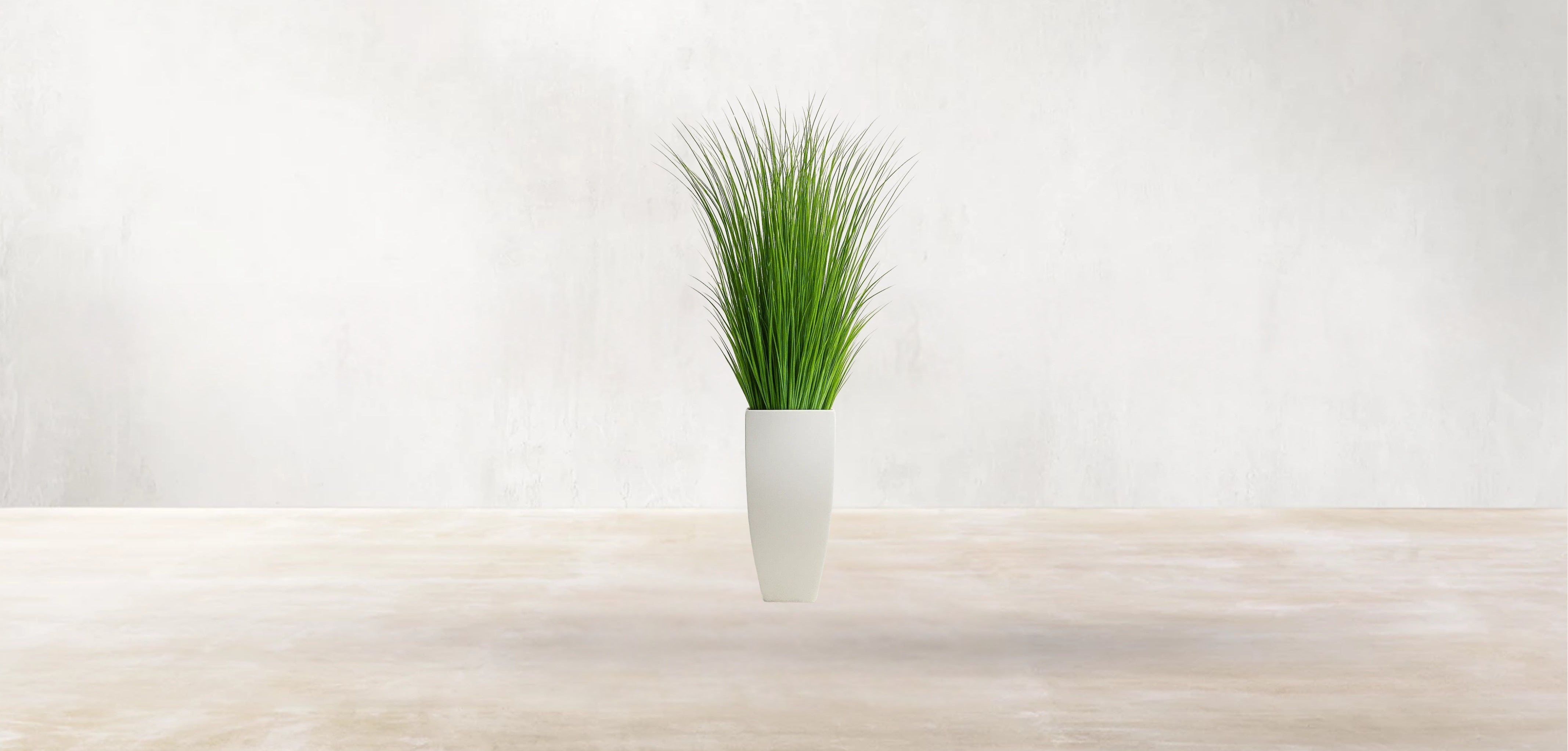African Savanna Grass