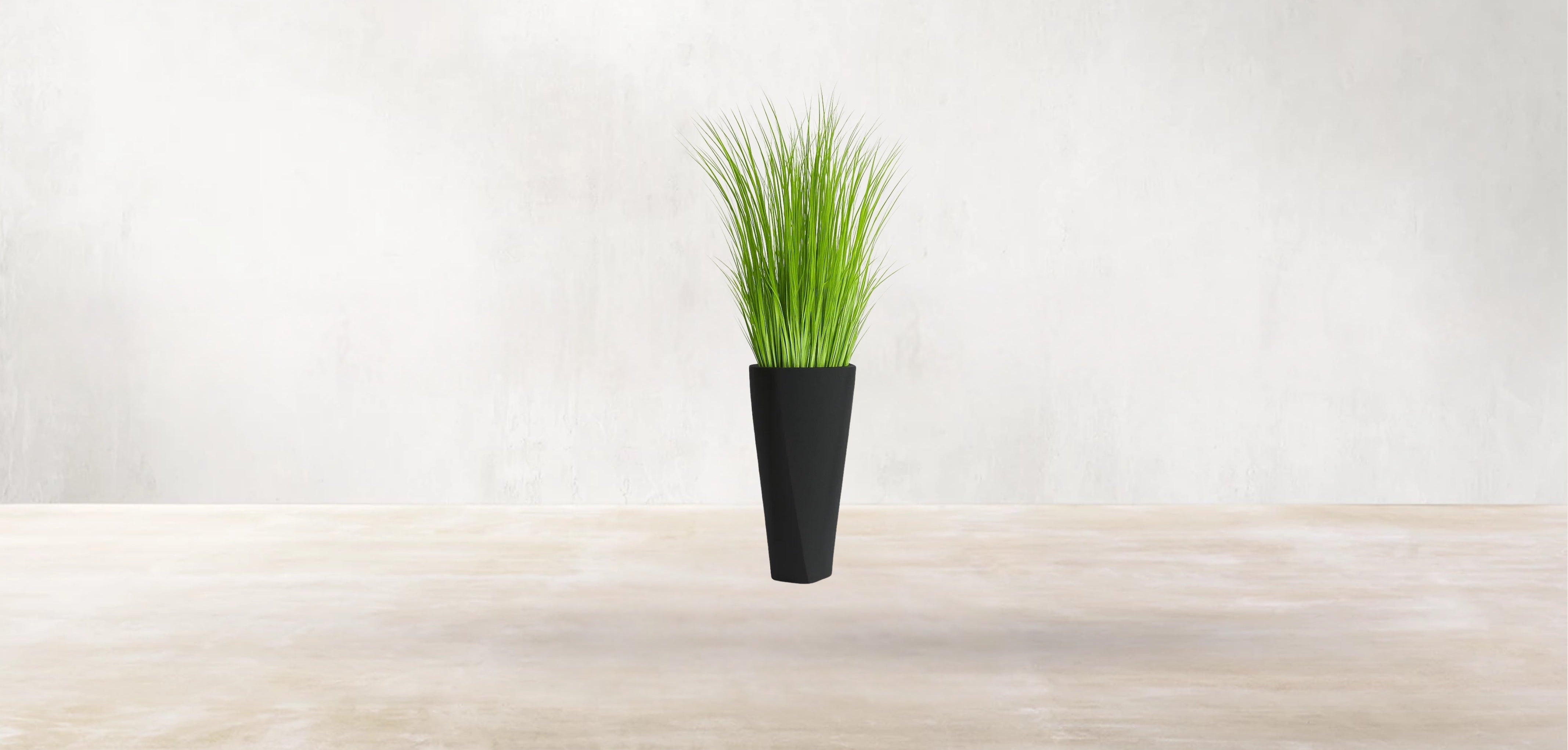 African Savanna Grass