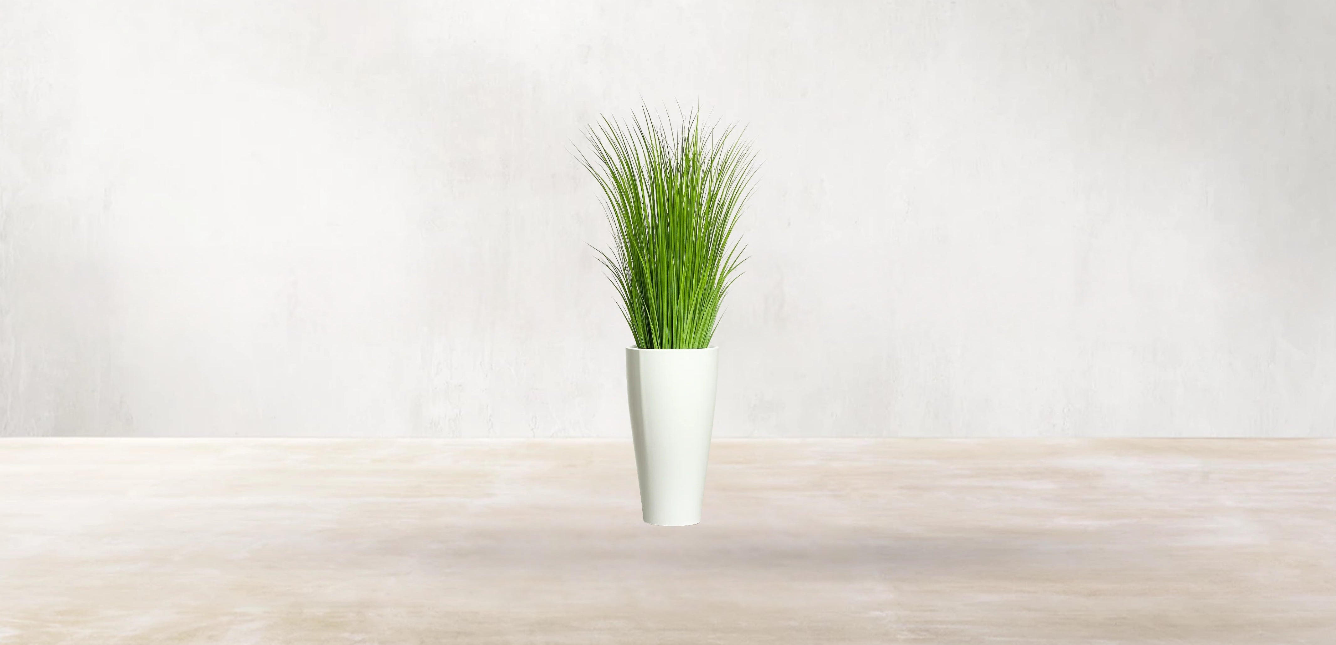 African Savanna Grass