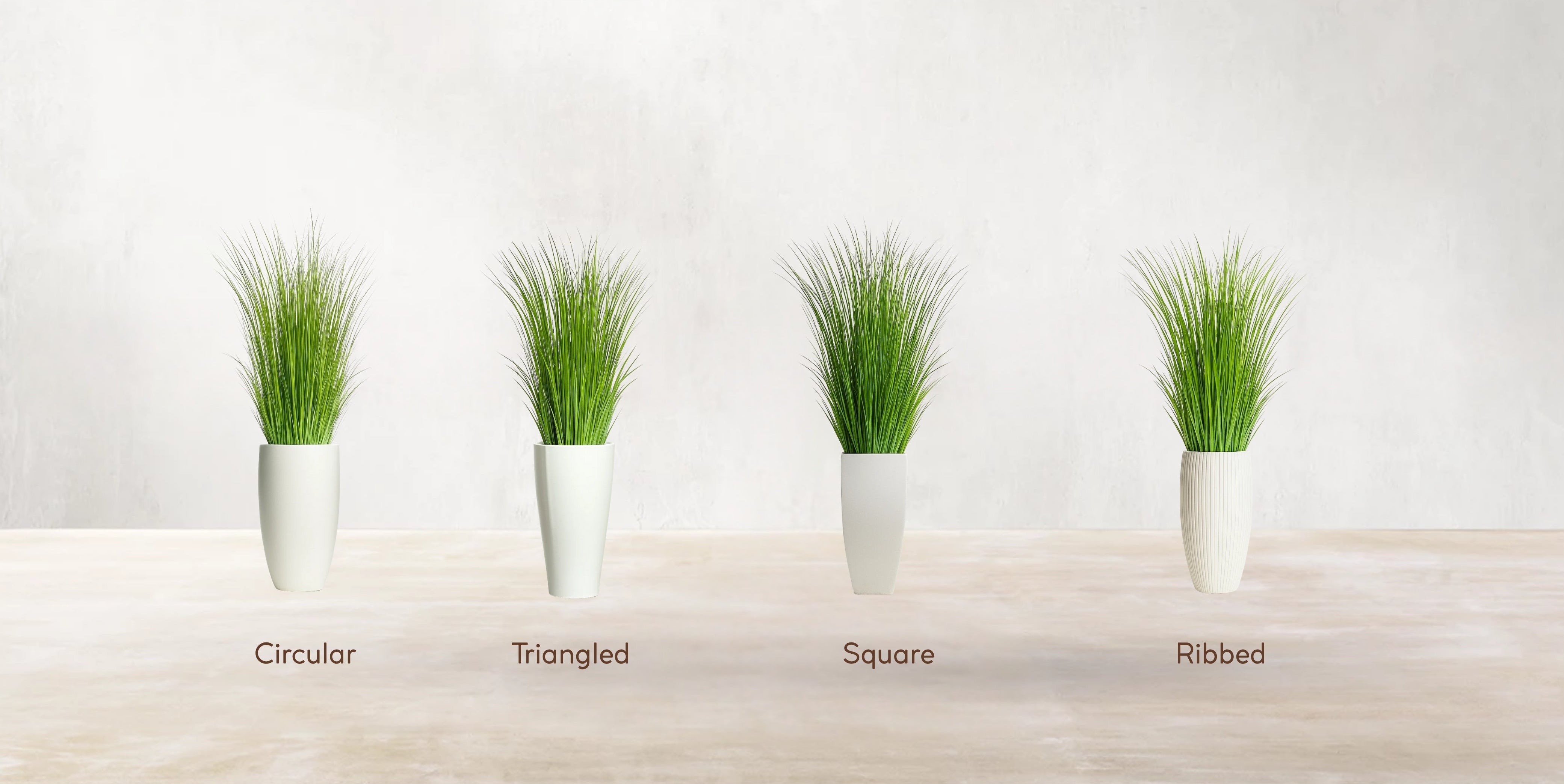 African Savanna Grass
