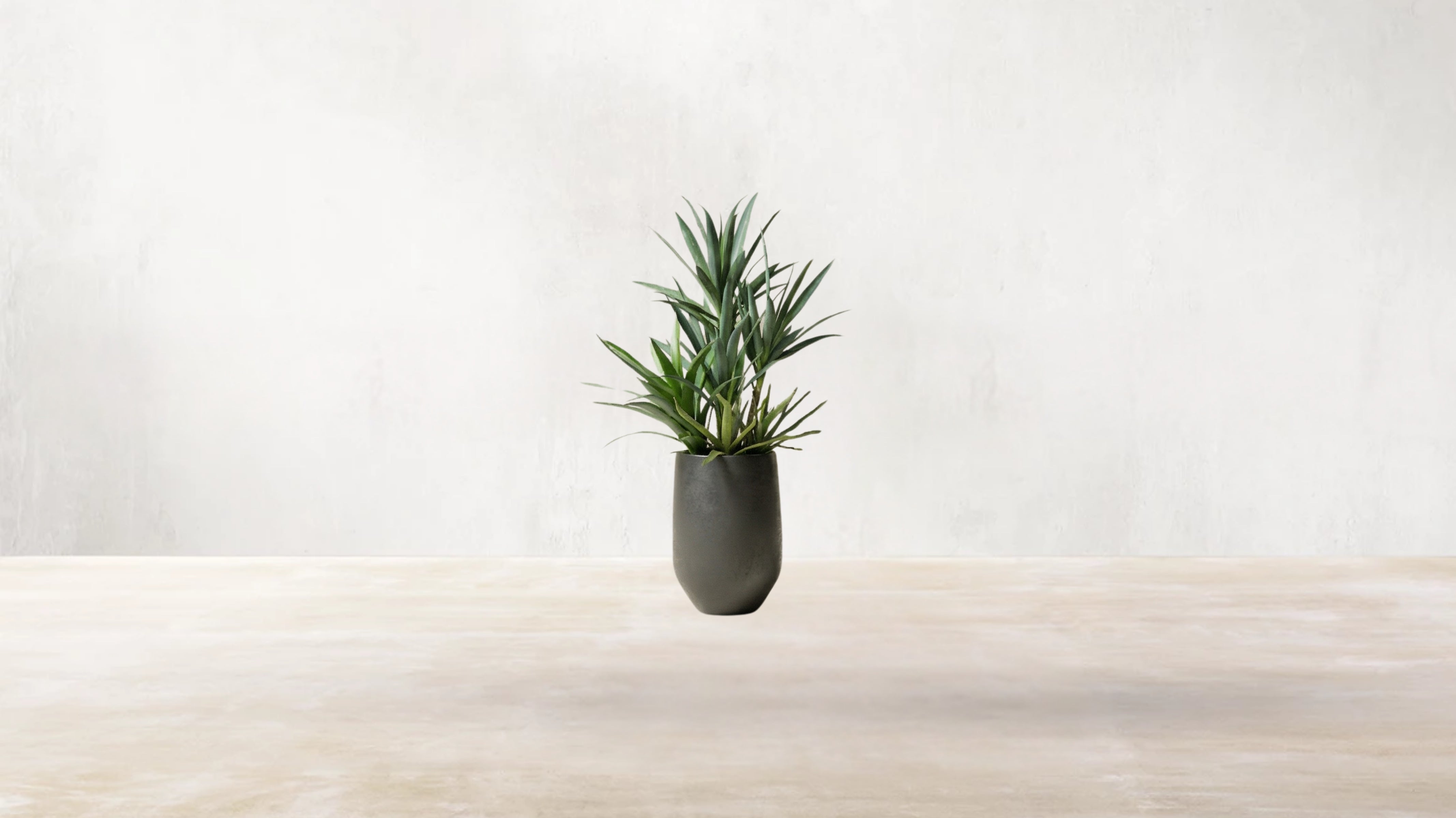Mojave Desert Blend