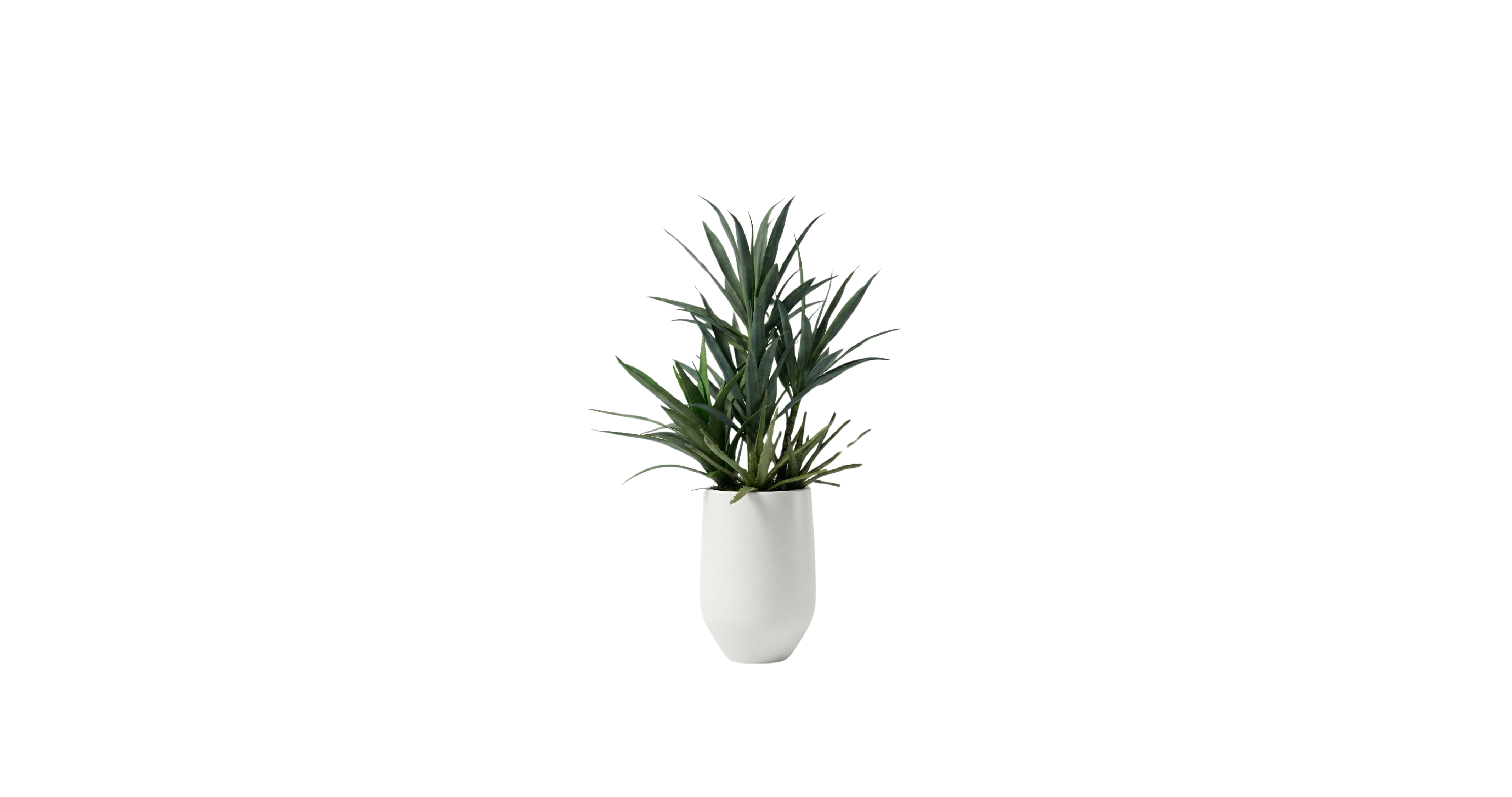 Mojave Desert Blend