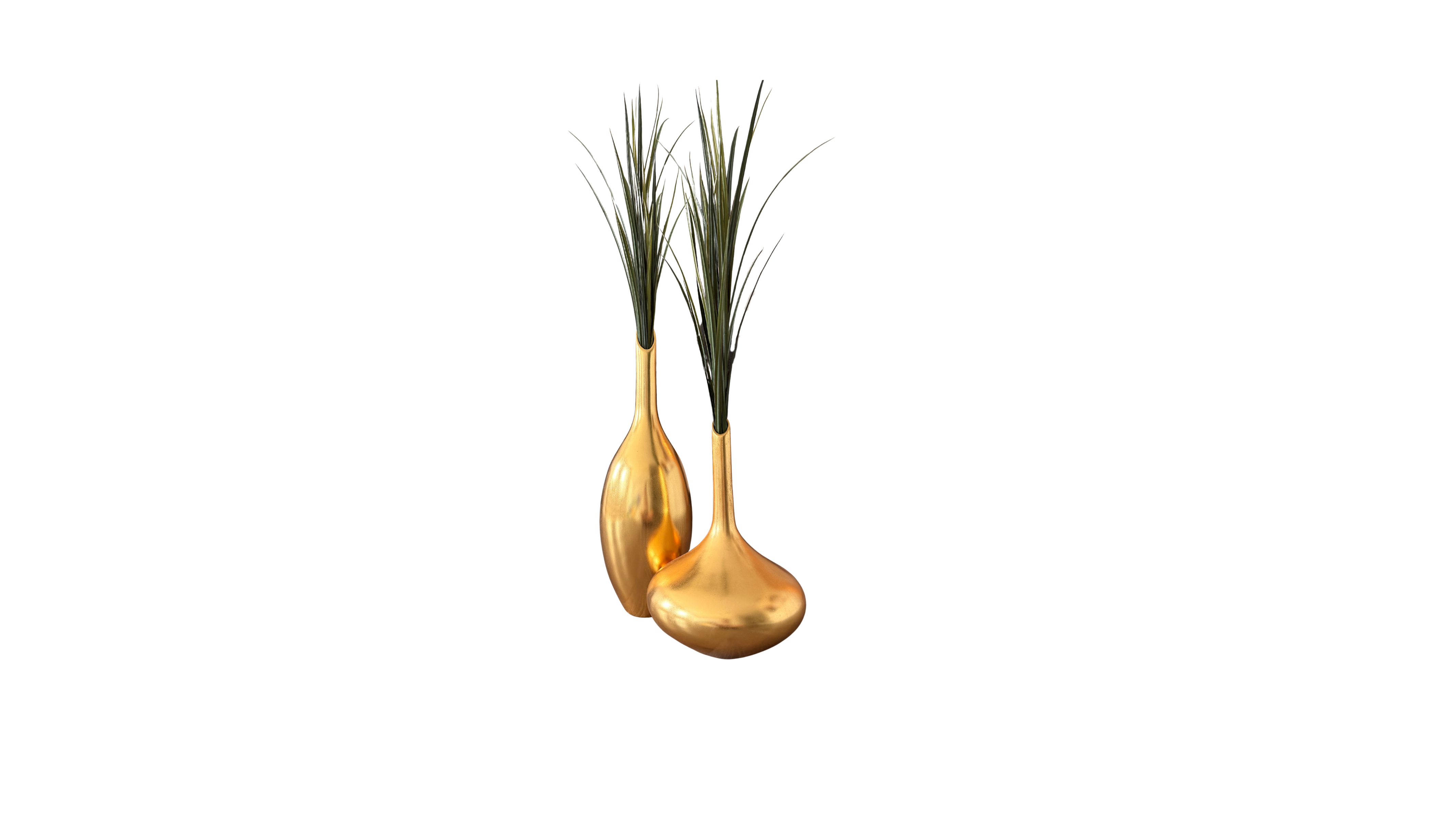 Coastal Meridian Grass