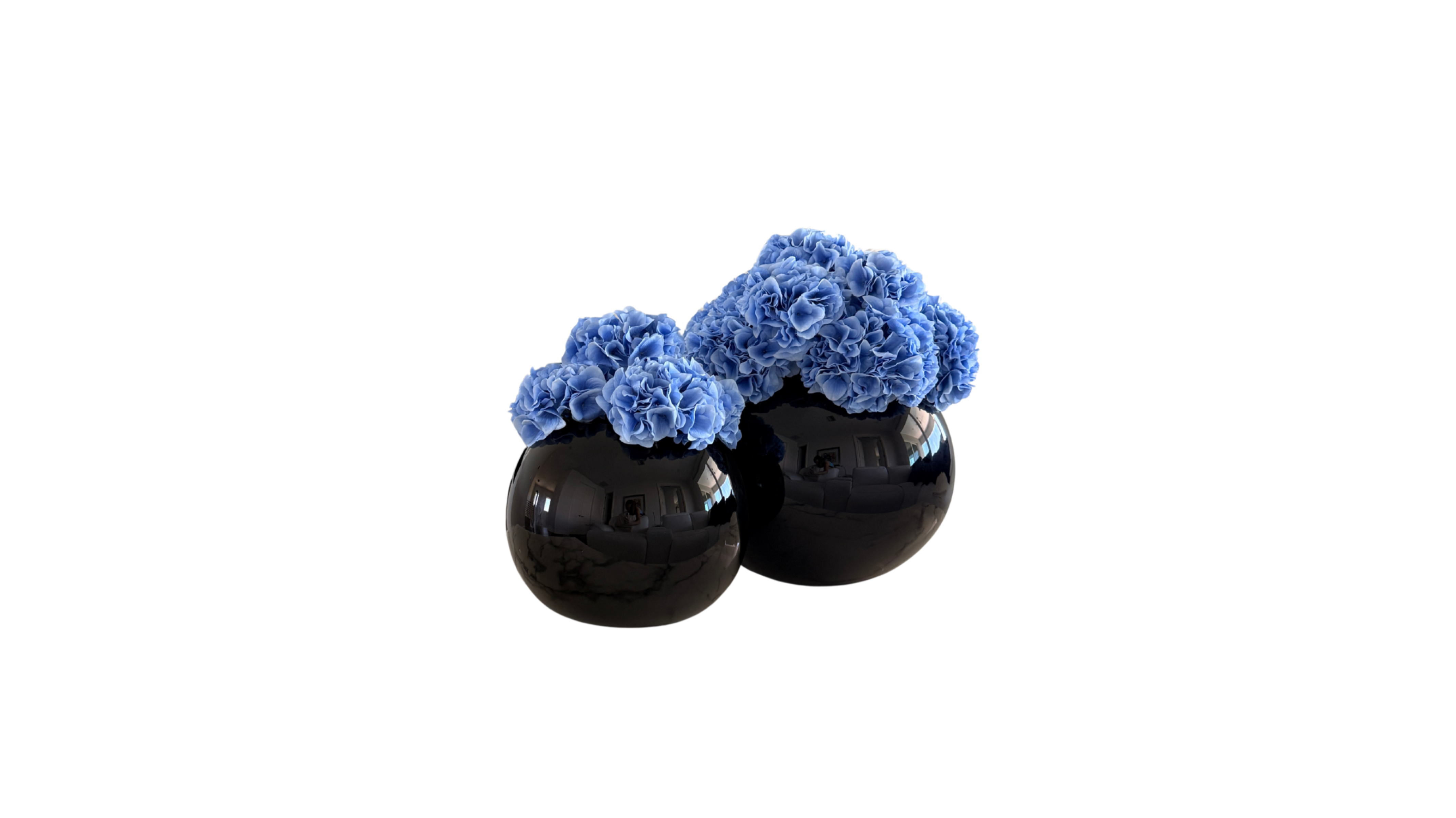 Kyoto Blue Hydrangeas