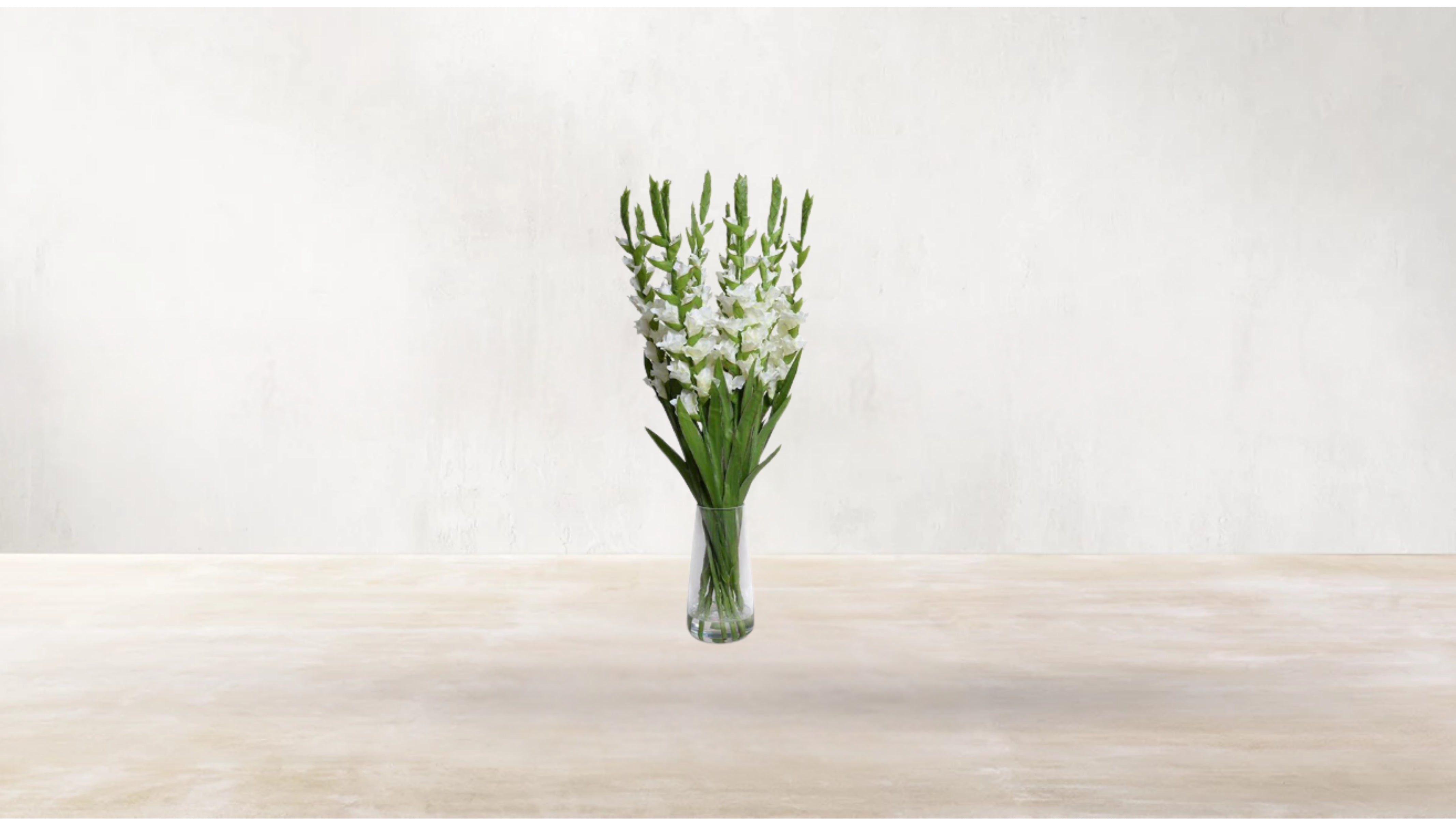 Roman Gladiolus Motifs