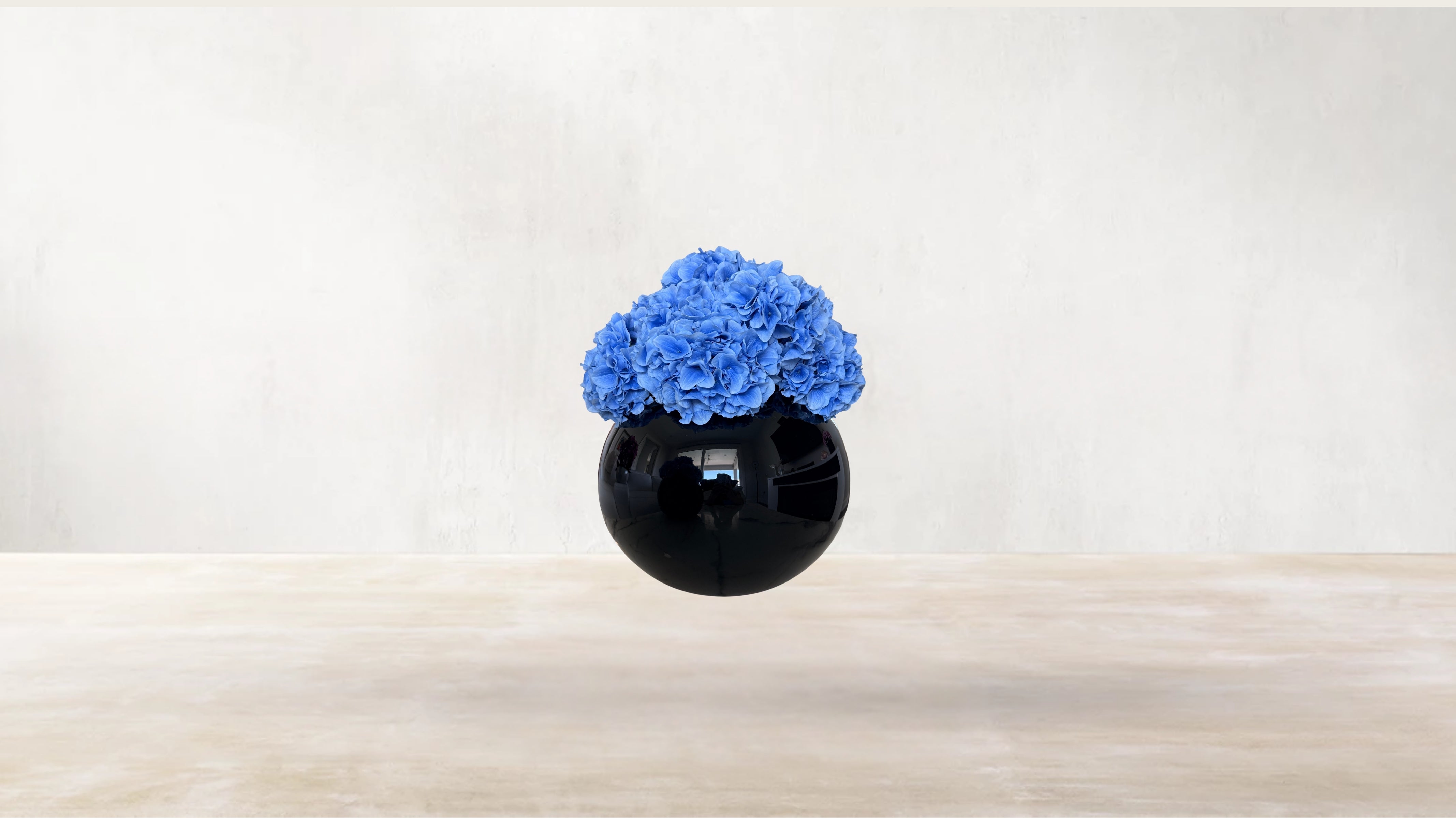 Kyoto Blue Hydrangeas