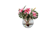 Stargazer Lily Motifs