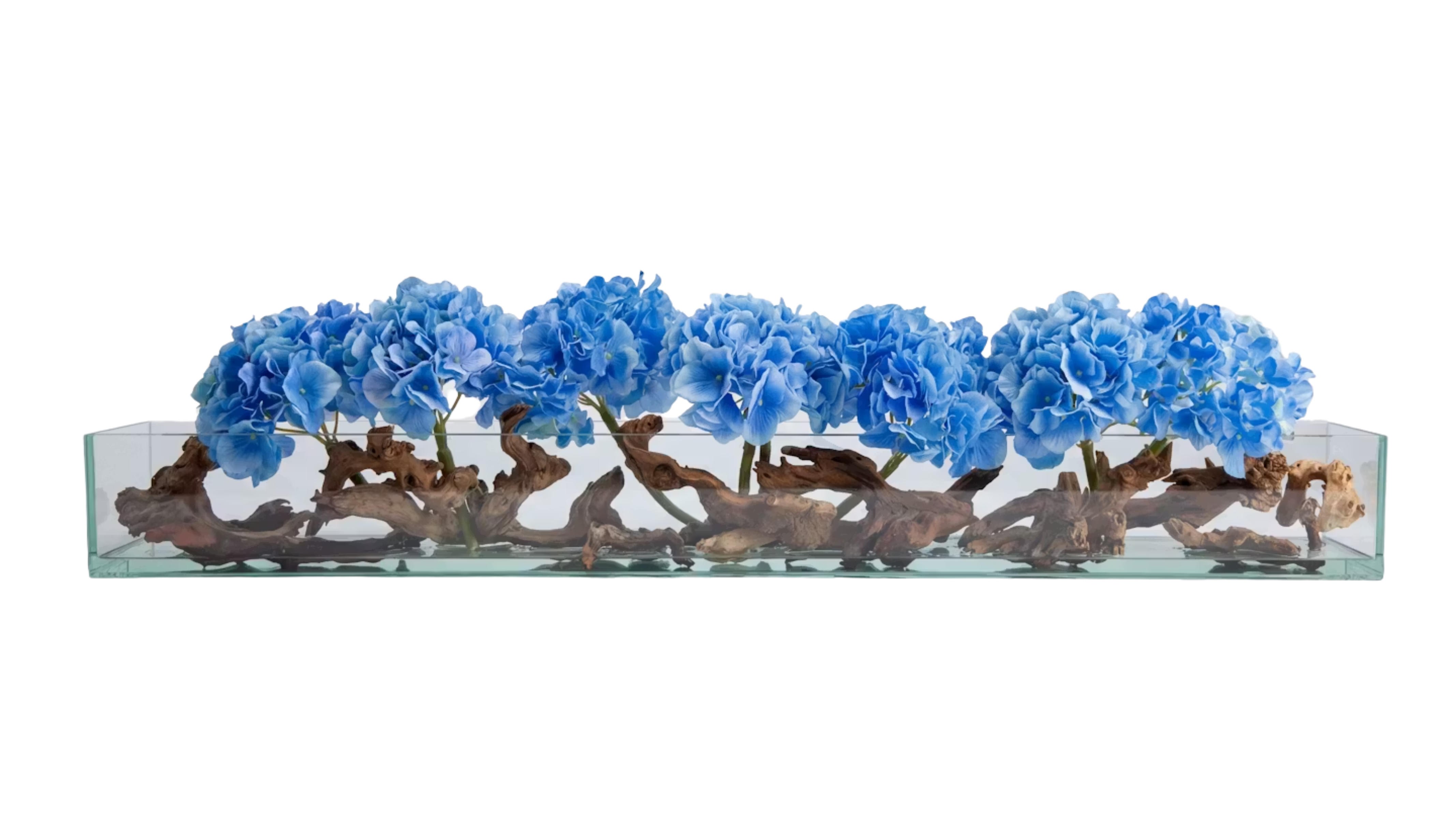 Hydrangeas X Mopani Driftwood