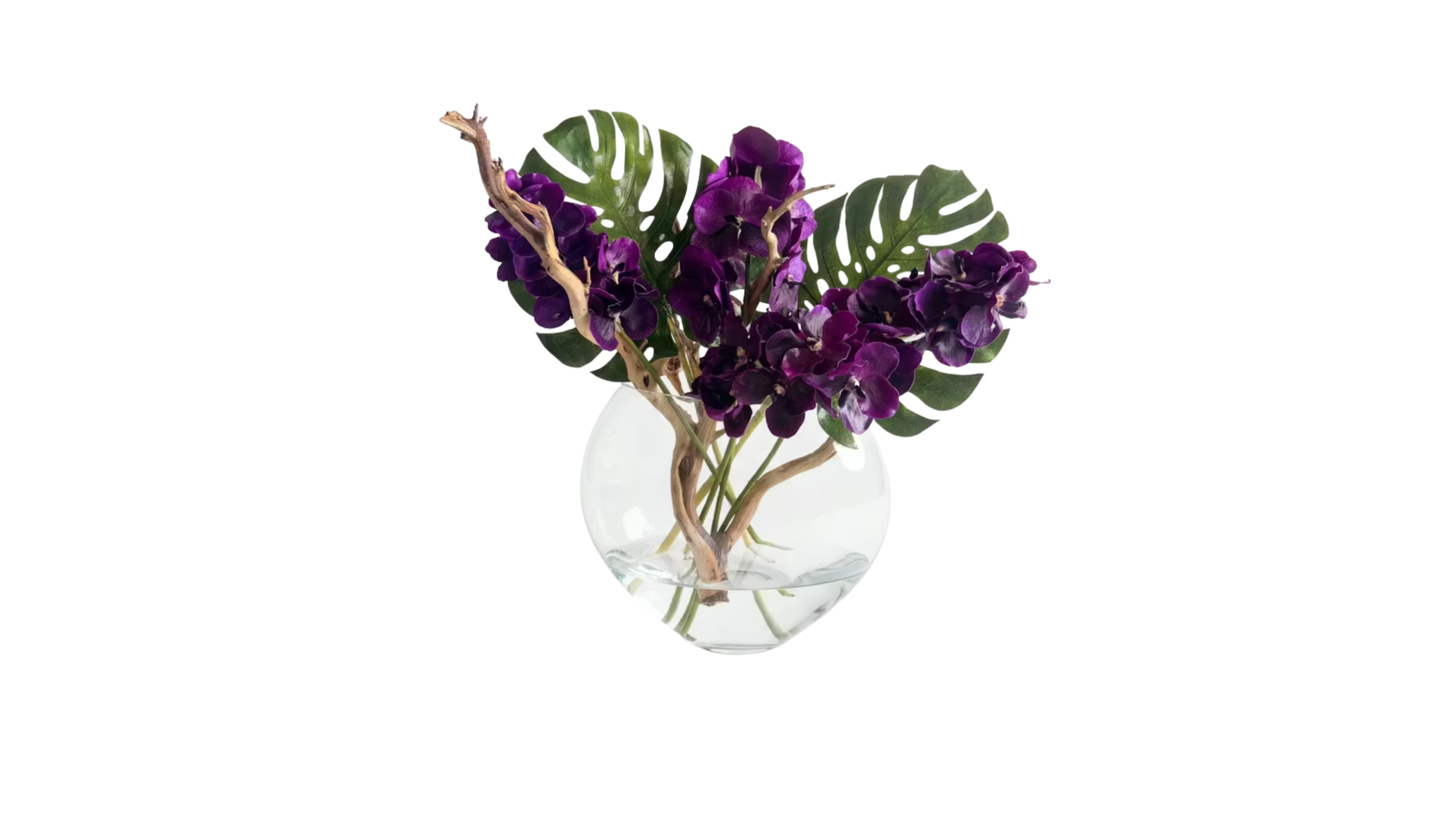 Violet Foncé Vanda Orchids