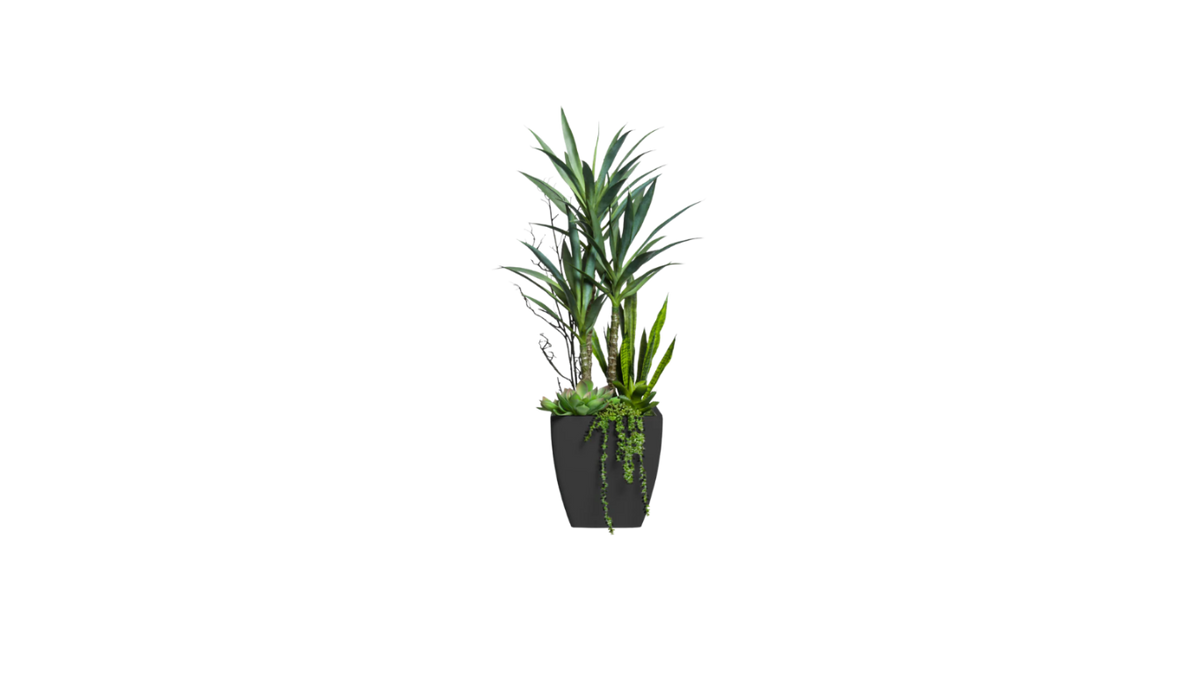 Chihuahuan Desert Blend – Jardin Du Monde