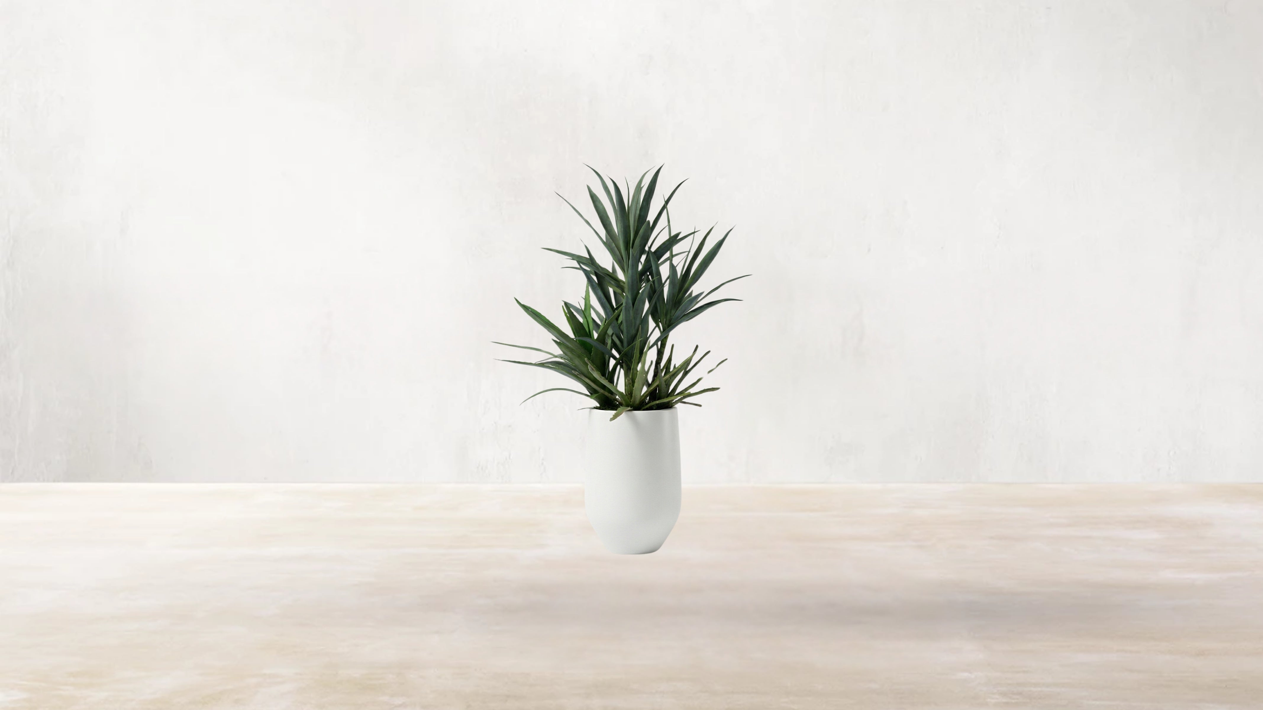 Mojave Desert Blend