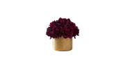 Cabernet Sauvignon Roses