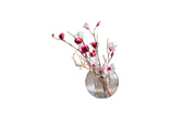 Sweet Southern Magnolias