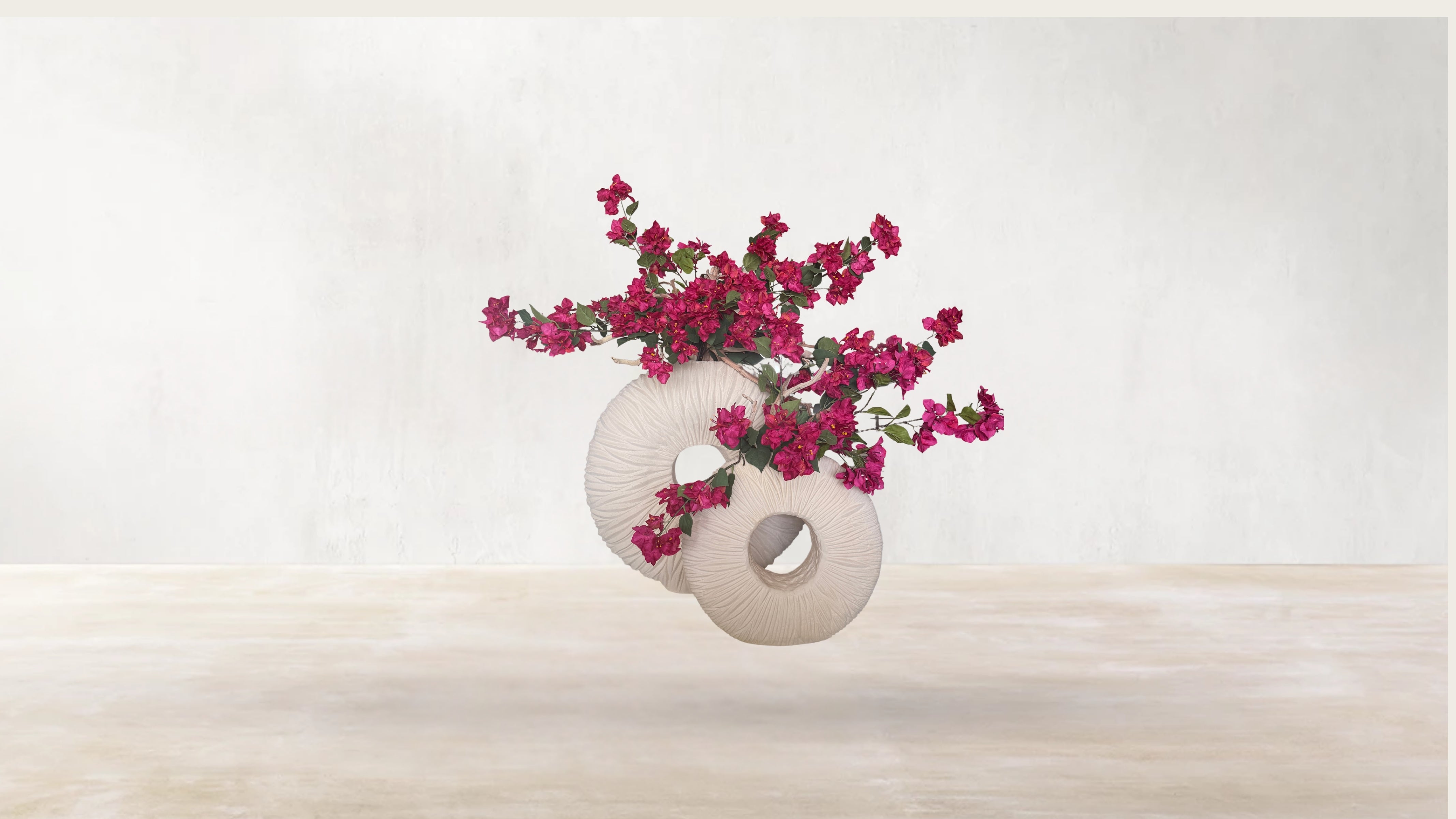 Brazilian Bougainvillea