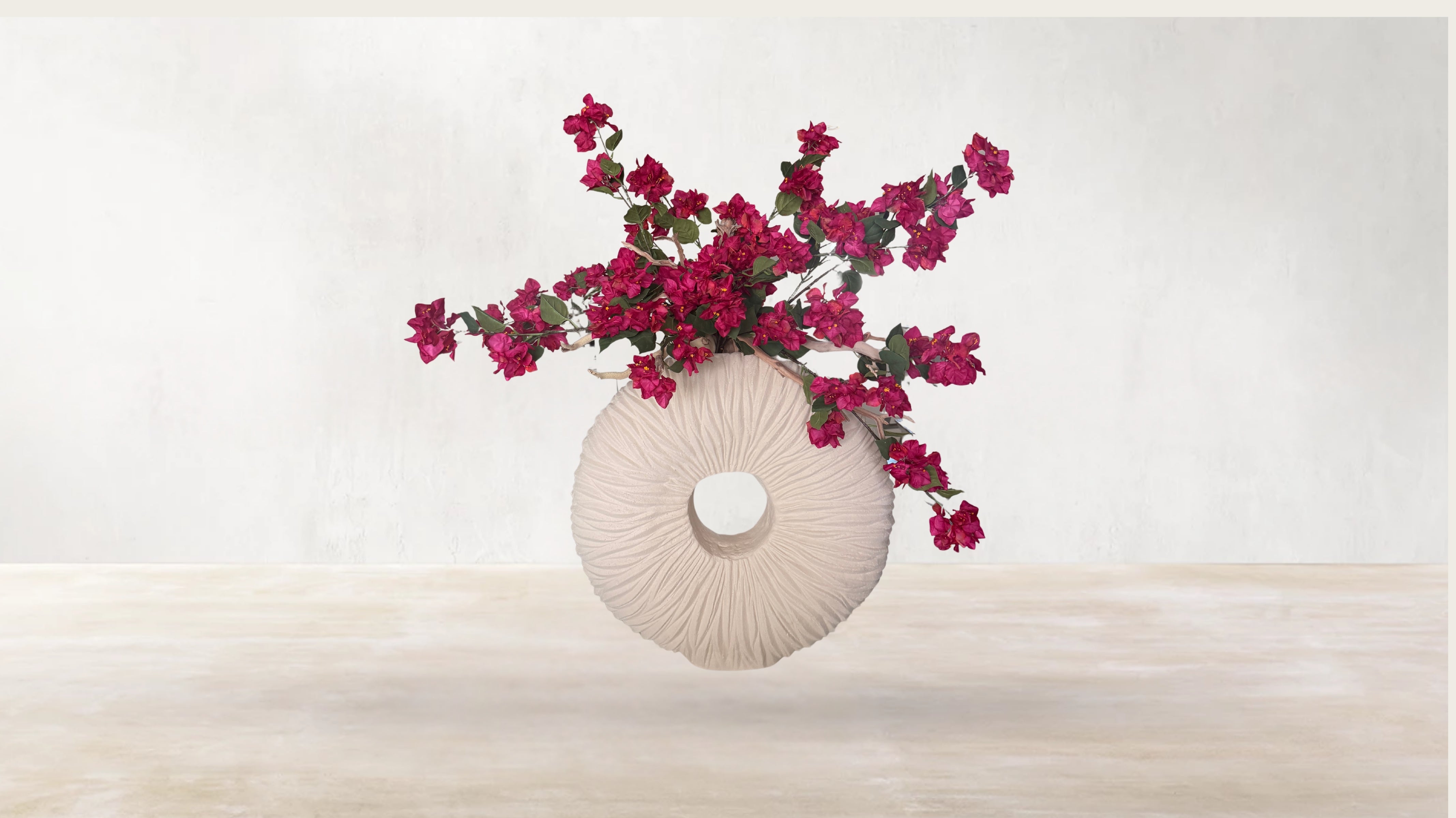 Brazilian Bougainvillea