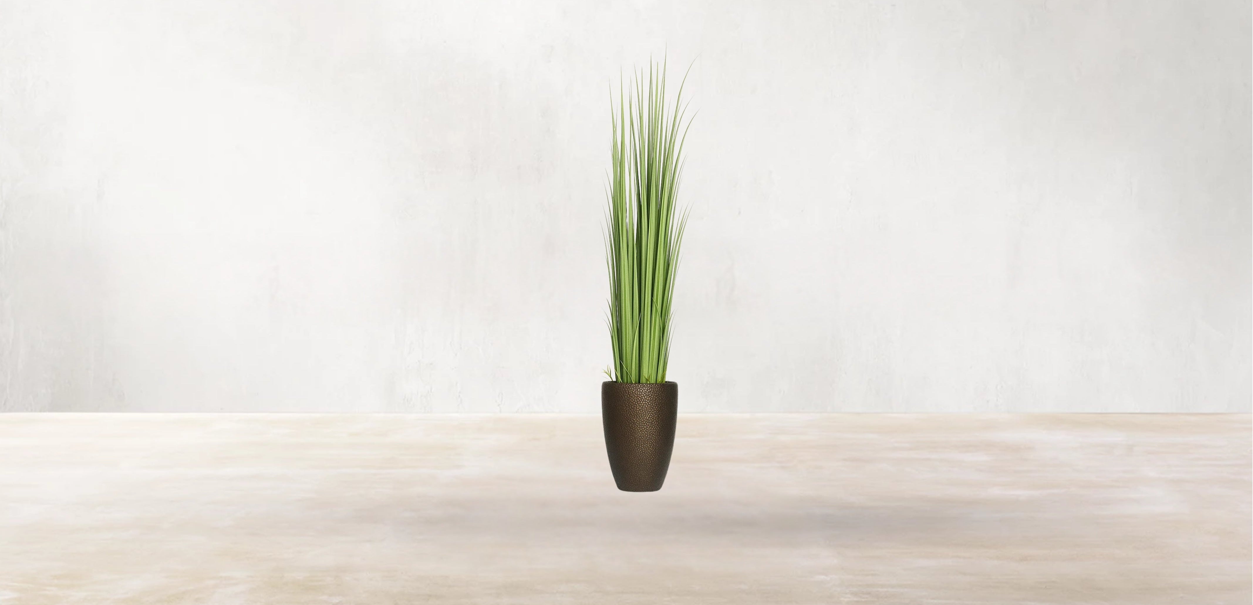 Vetiver Grass of South Asia